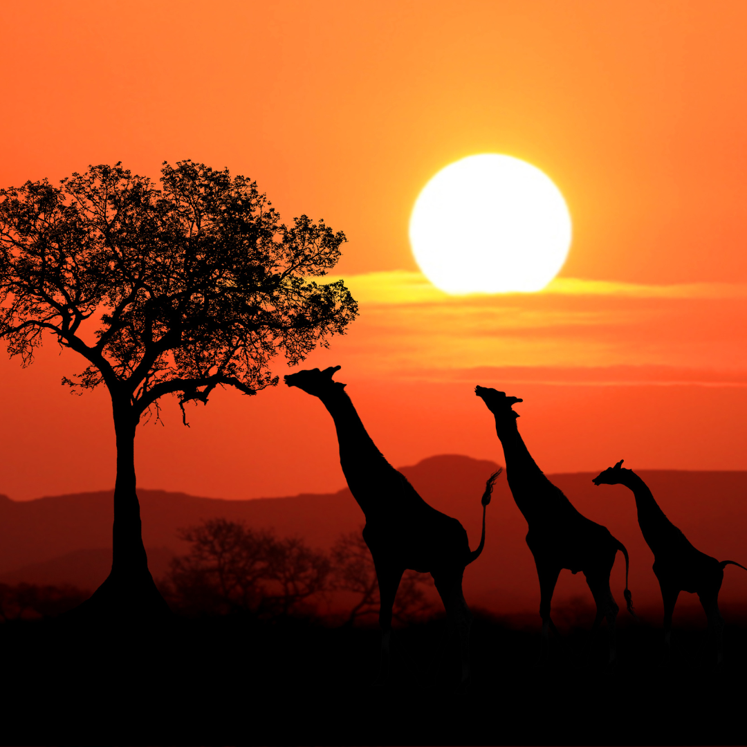 KENIA