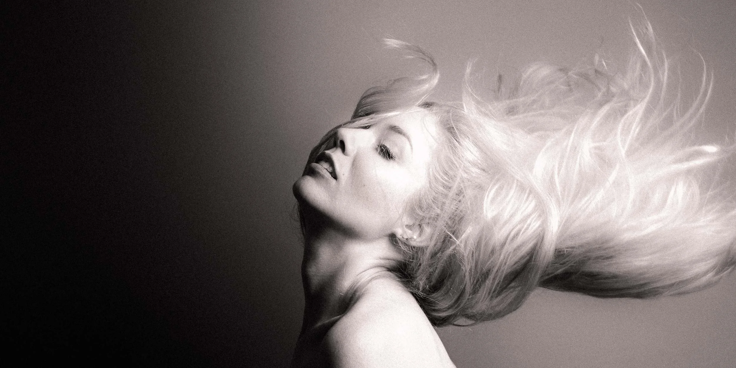 Signature-Portraits-Gallery-Image-505.jpg