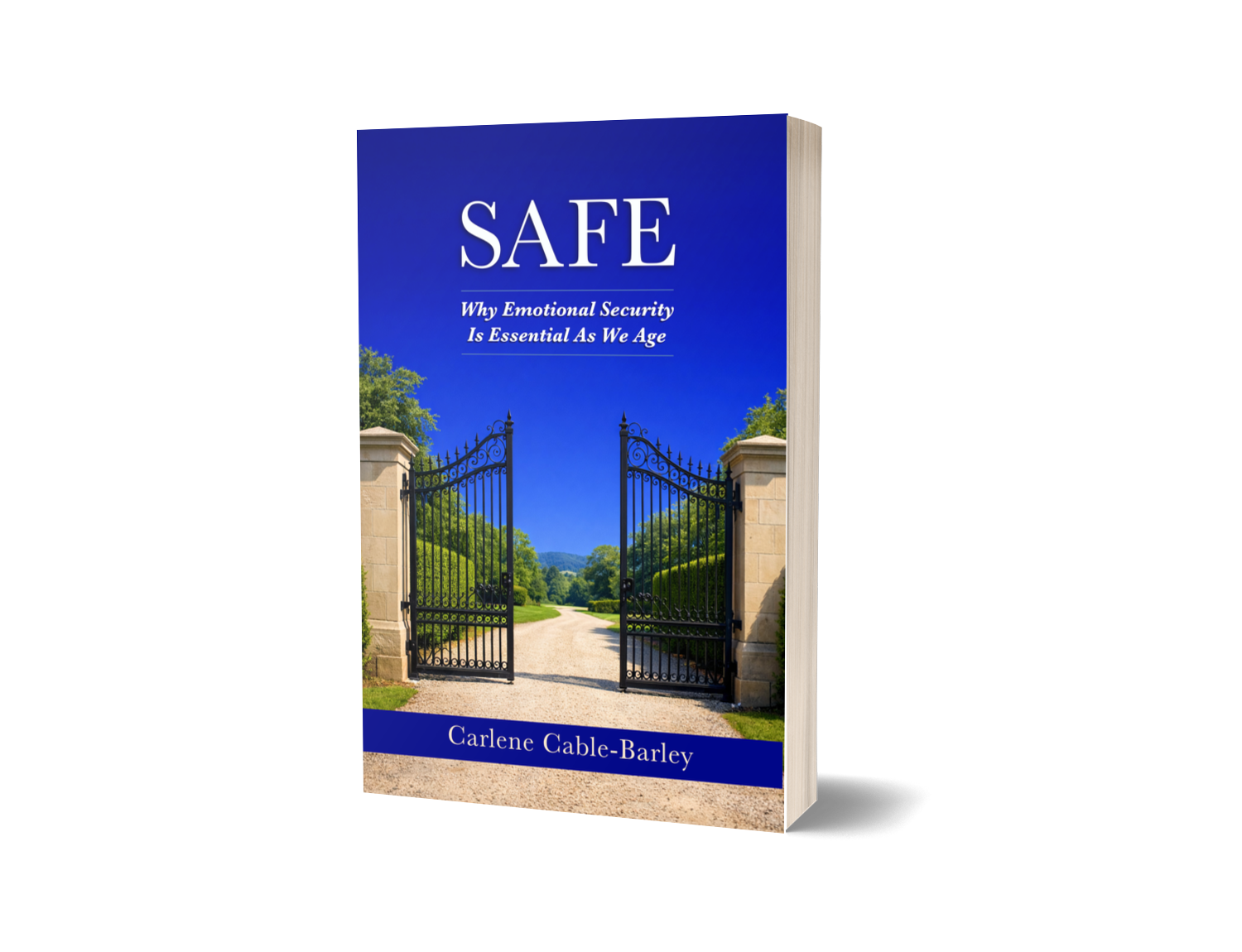 Safe