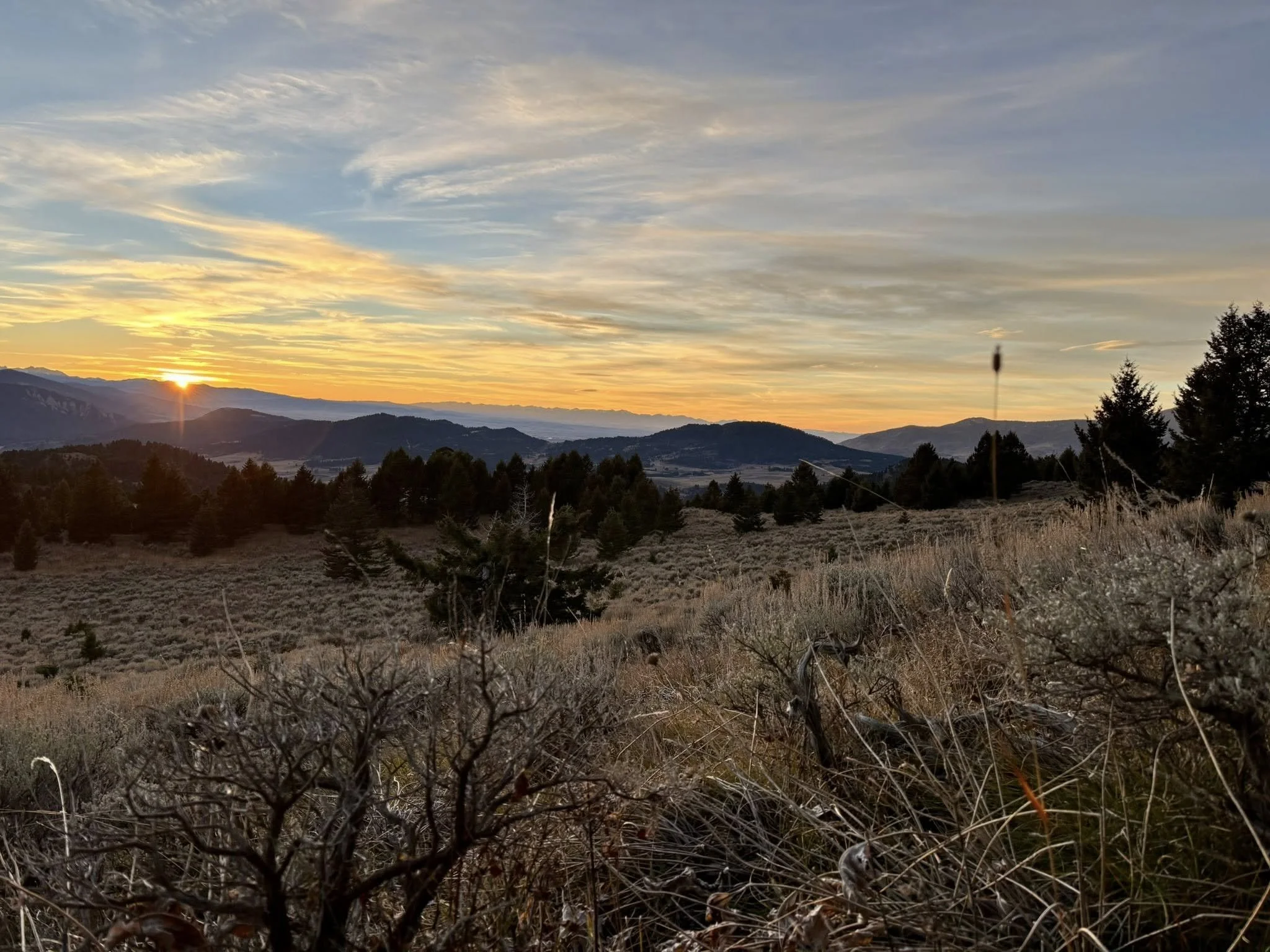 view.jpg
