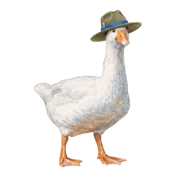 A cartoon goose wearing a safari hat with a blue band.