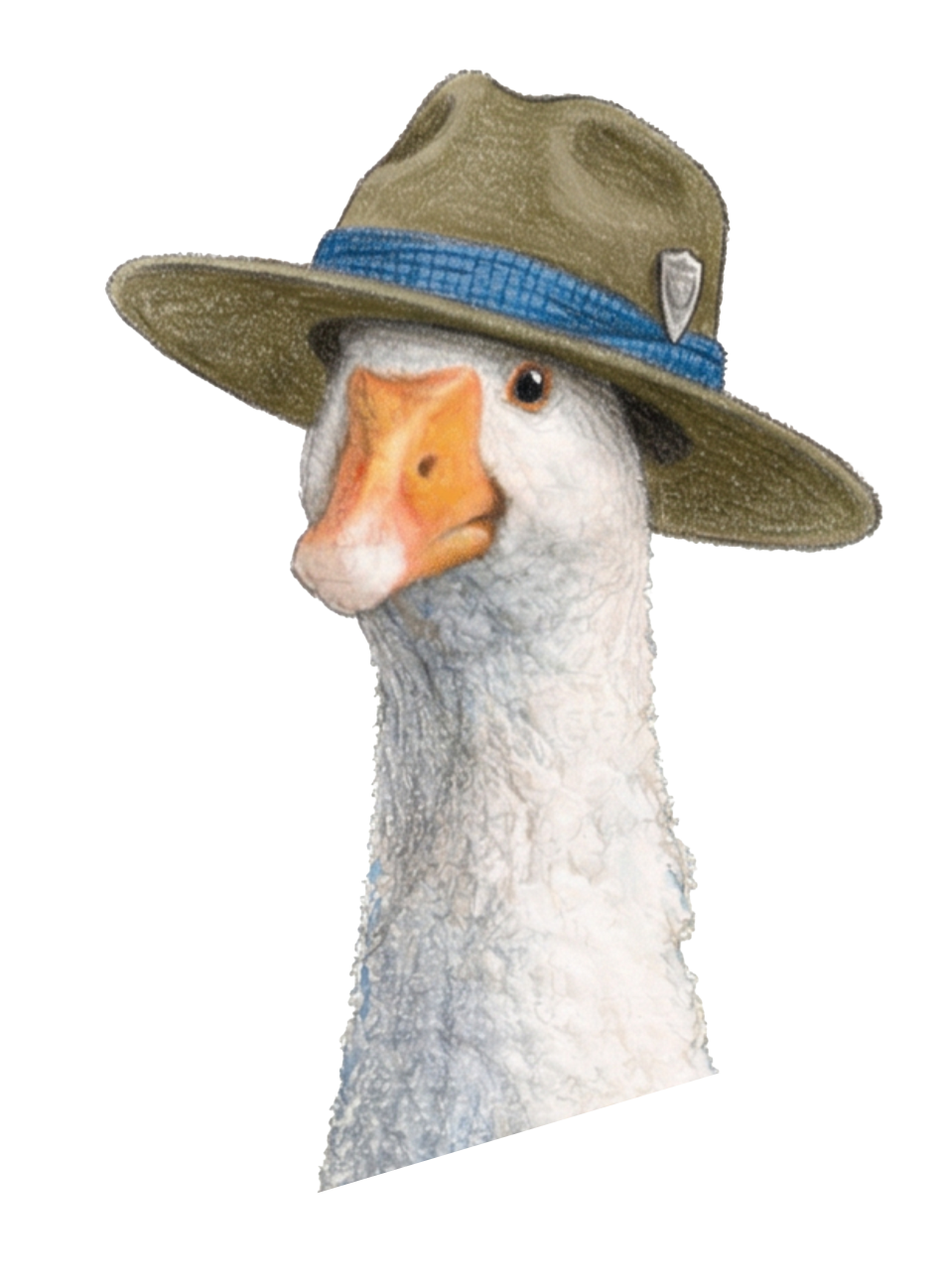 A goose wearing a tan wide-brimmed hat with a blue band and a metal badge.