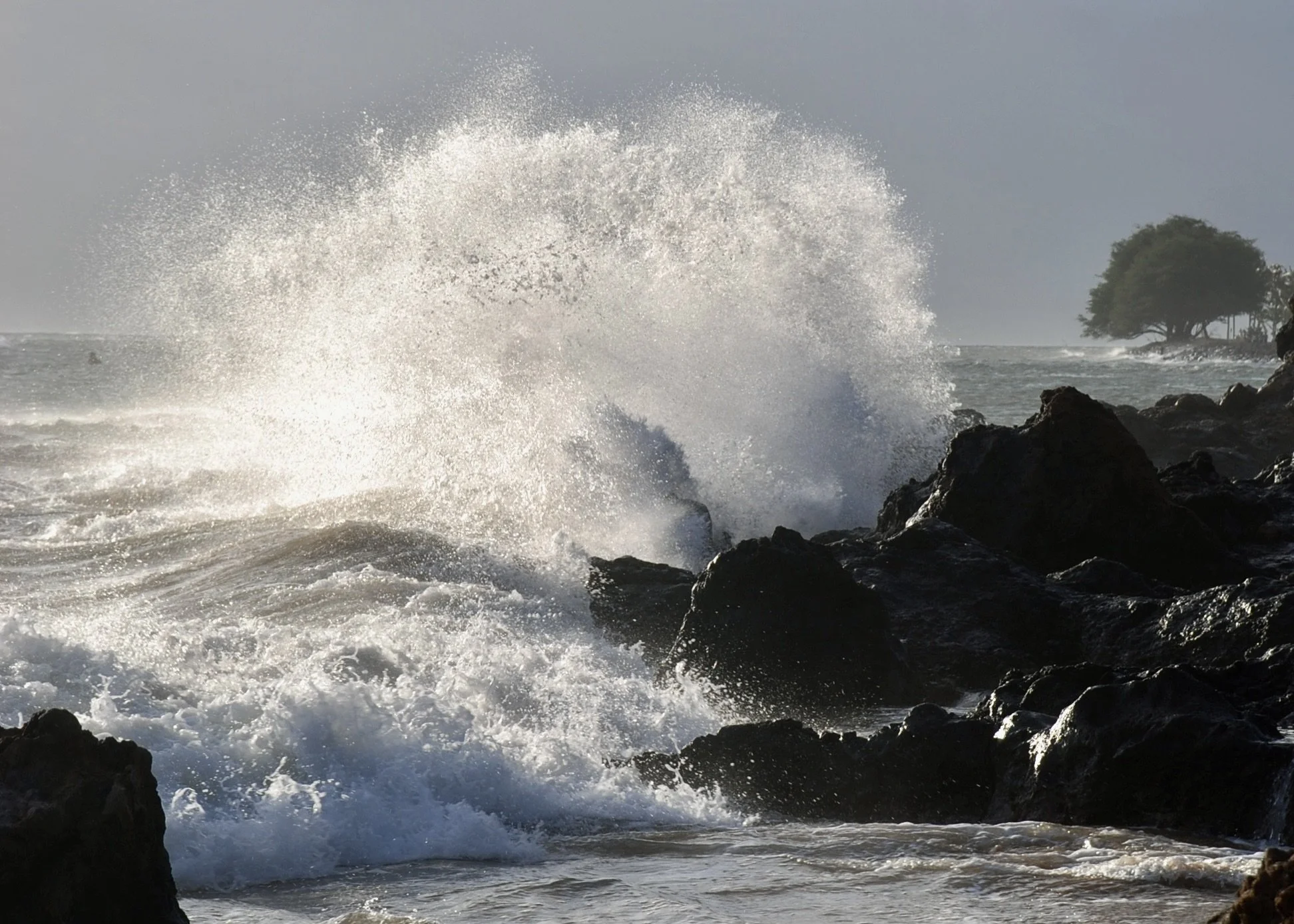 Ocean Beach 19.jpeg