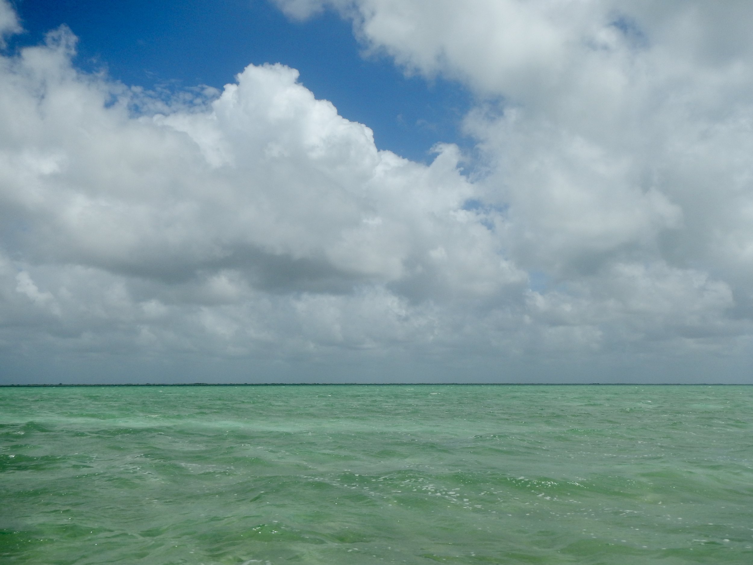 DSCN0439.JPG
