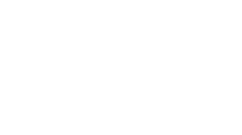 FIS Assist