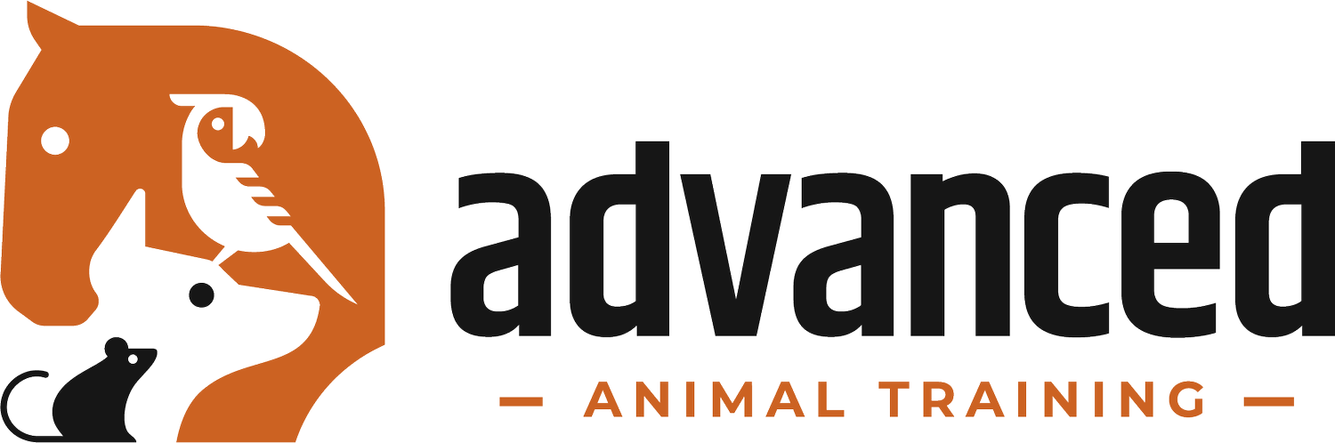 Advanced Animal Training