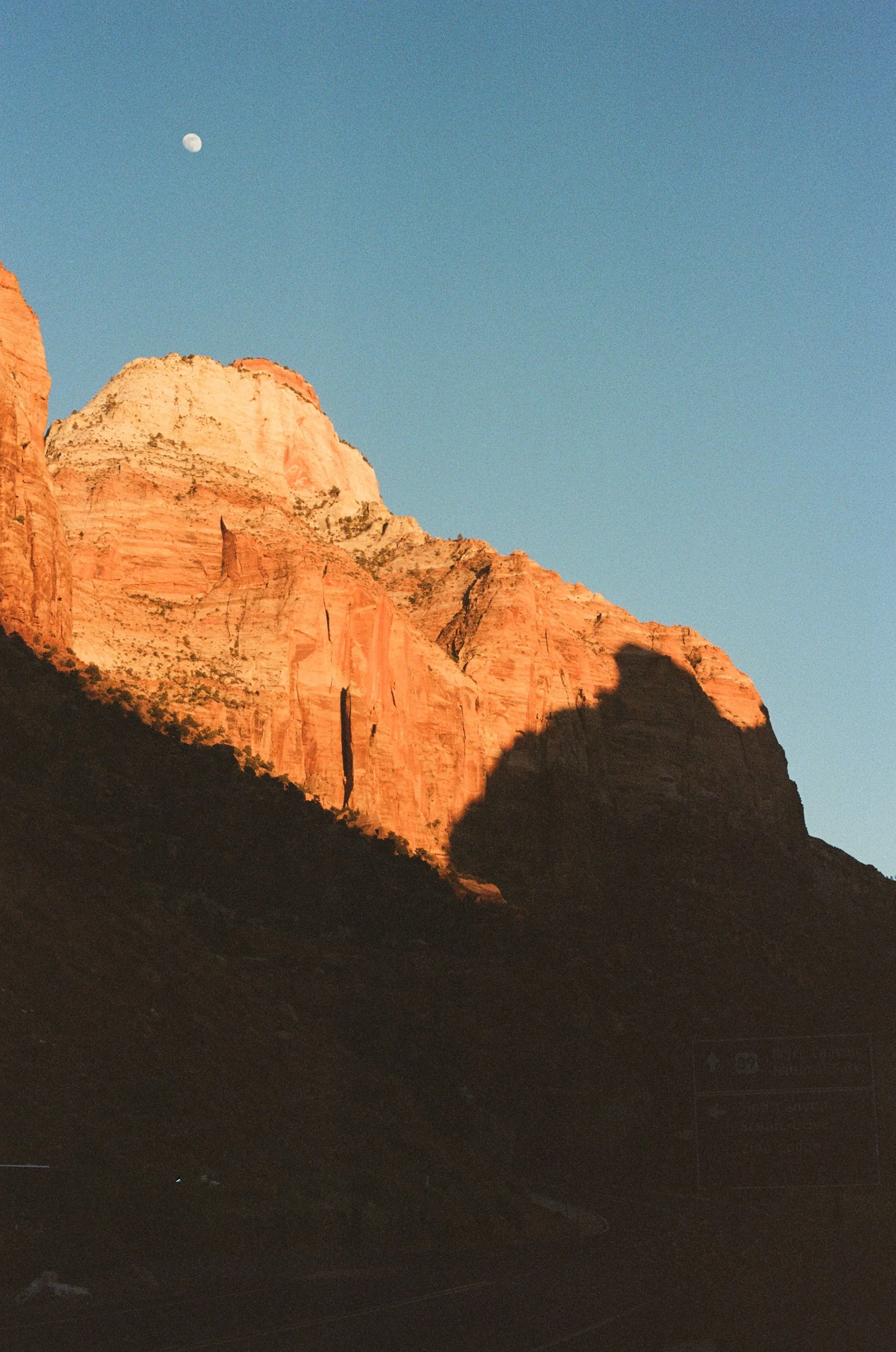 lomography_color_negative_400_01_21_2025_000009540032.jpg