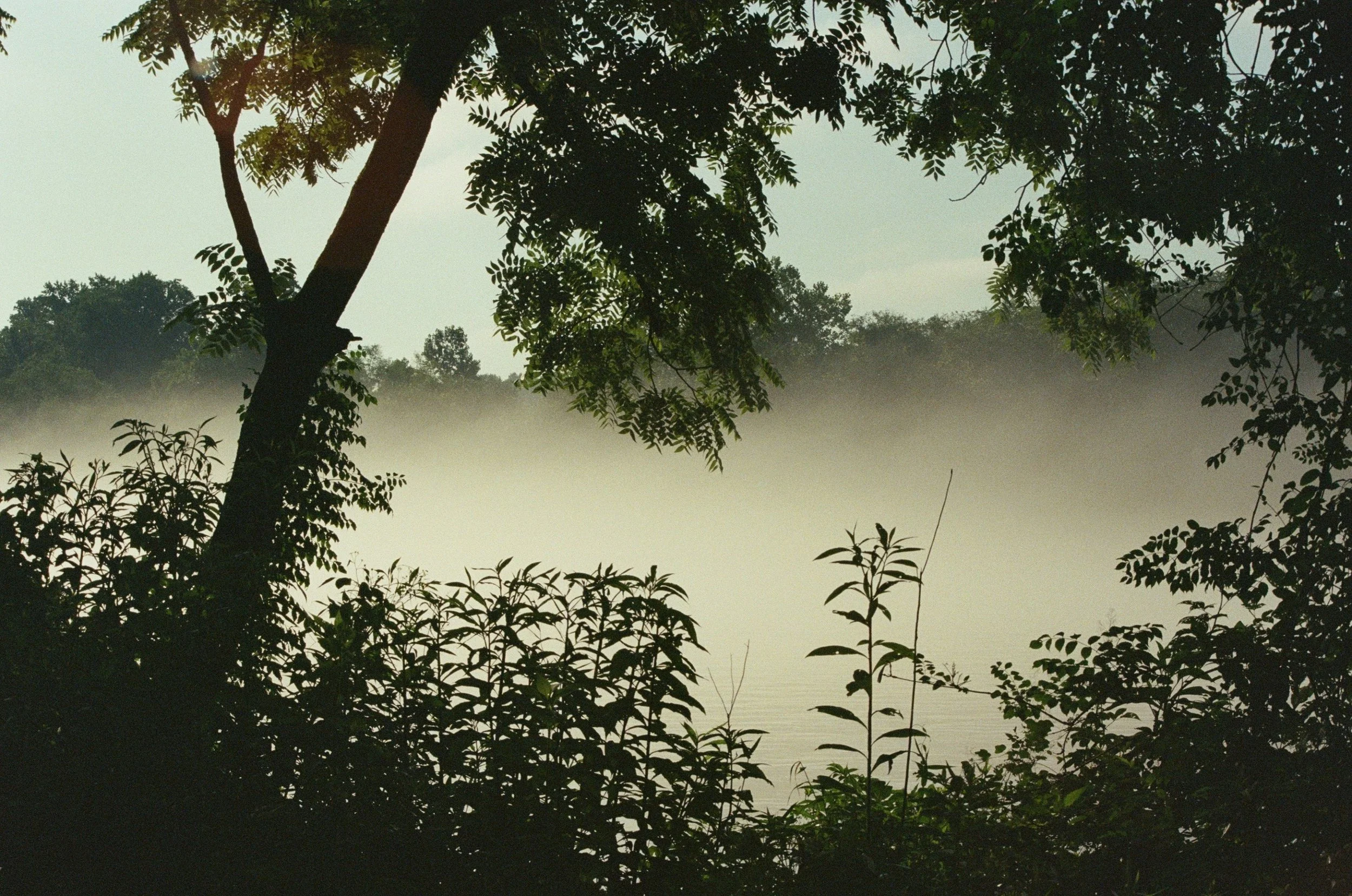 Cuyahoga_Mist1_Lomo.jpg