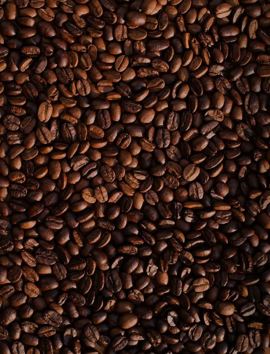 CoffeeBeans.png (Copy) (Copy)