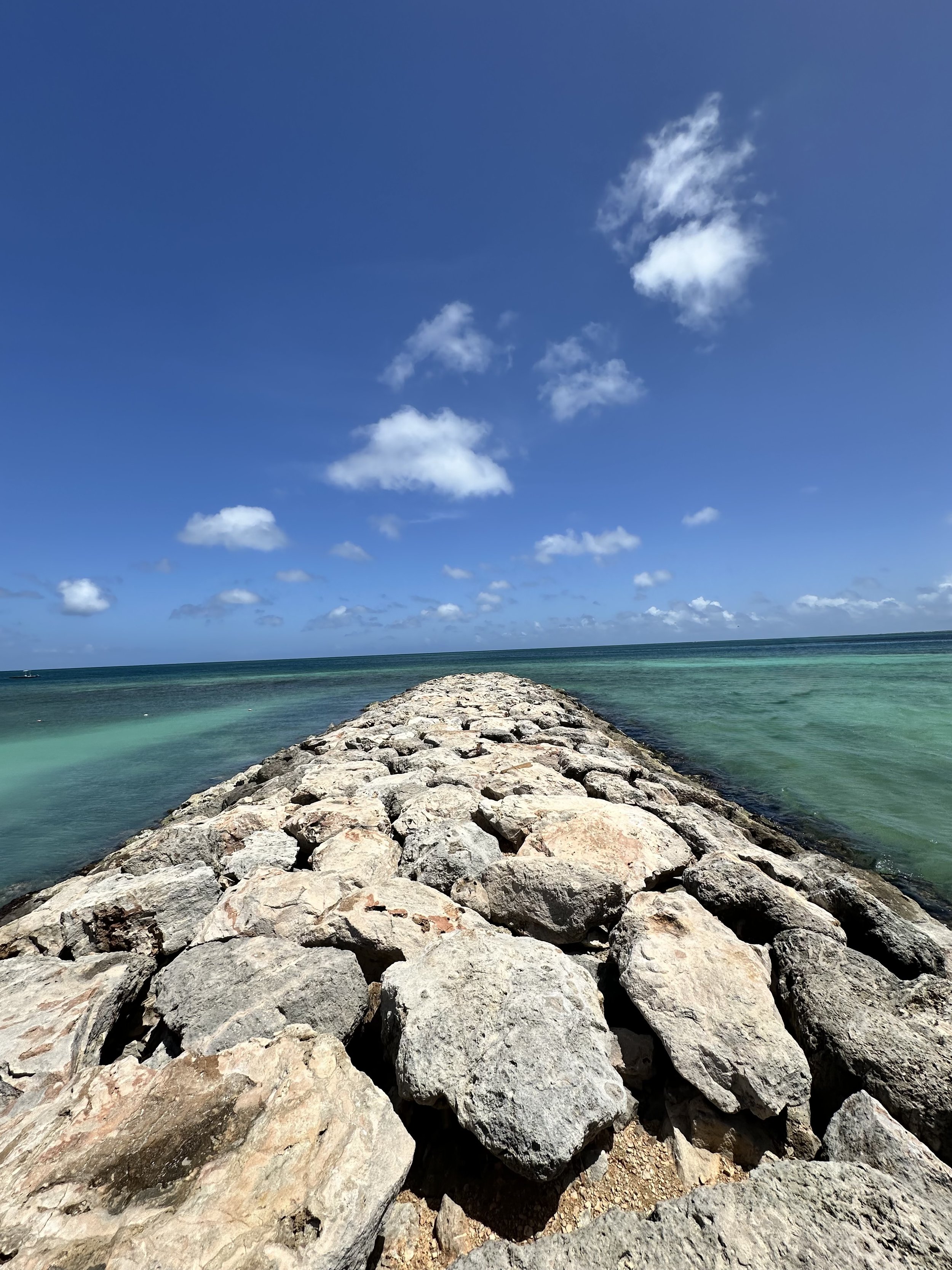 IMG_0084.jpeg