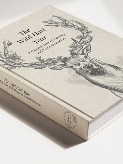 A beautiful product mockup of a hardcover journal or book resting diagonally on a clean, sunlit white surface with soft shadows cast across it. The book features a minimalist, cream-colored cover adorned with a delicate black ink sketch of a stag's h