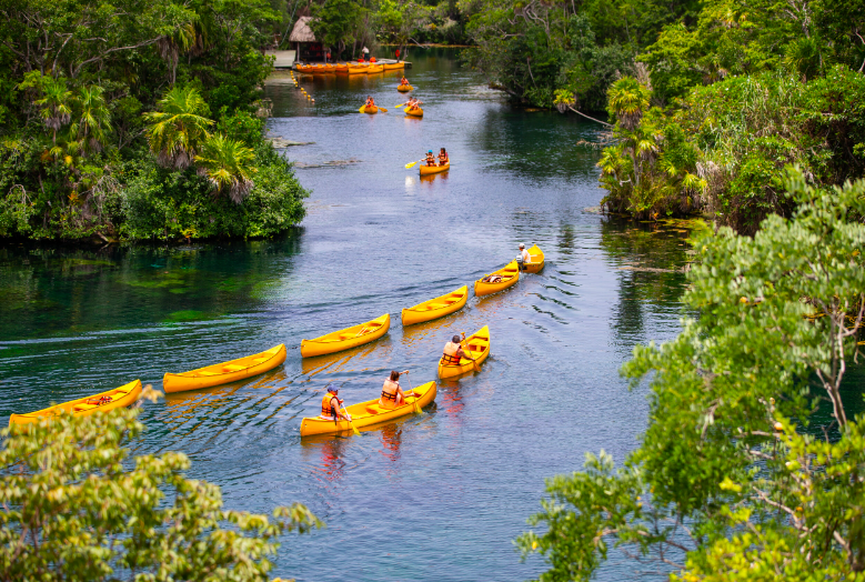 Cenotes and Zip Lines Park