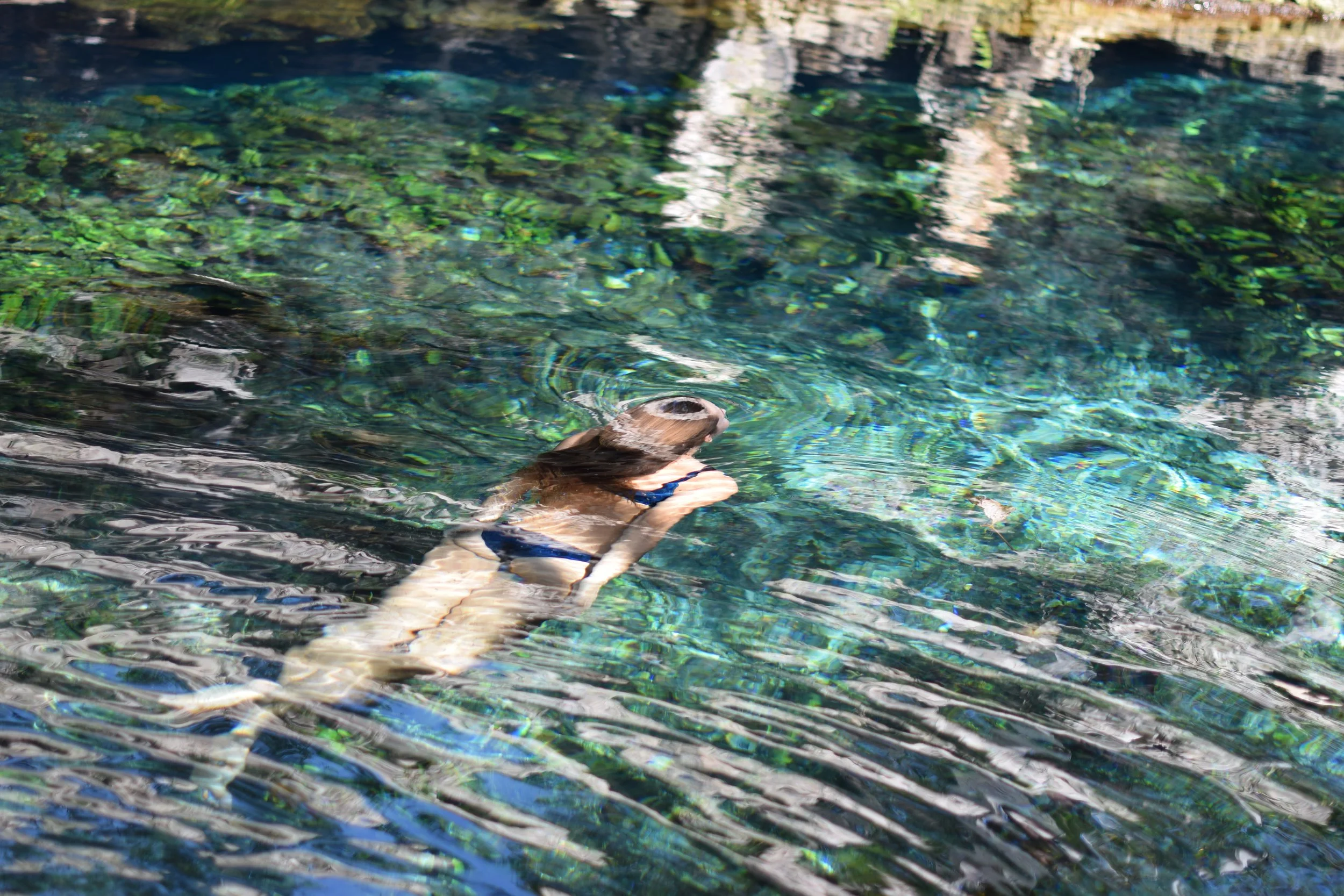 ruins cenotes 5.JPG