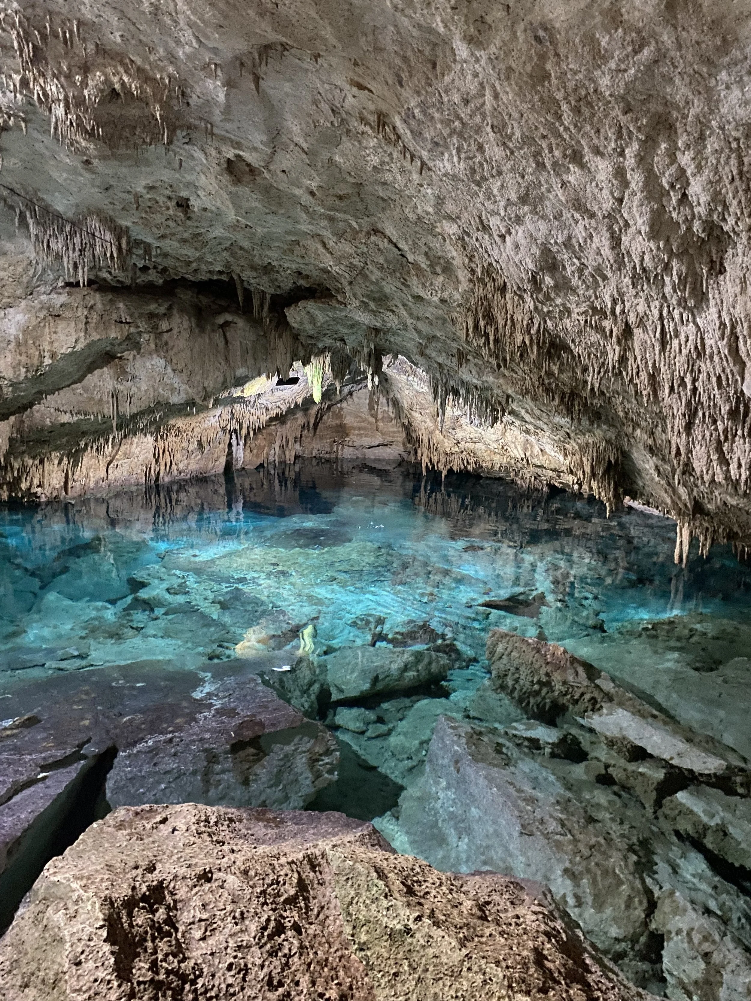 Cenote hopping