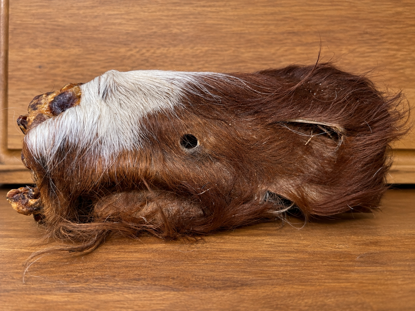 Hairy Cow Ear.png
