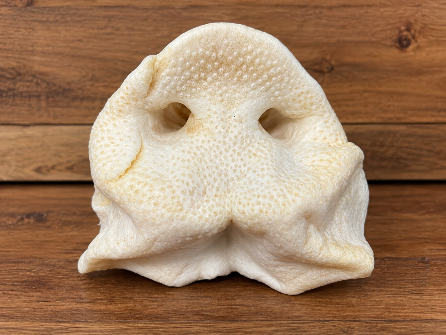 Puffy Pig Snout Treat.png