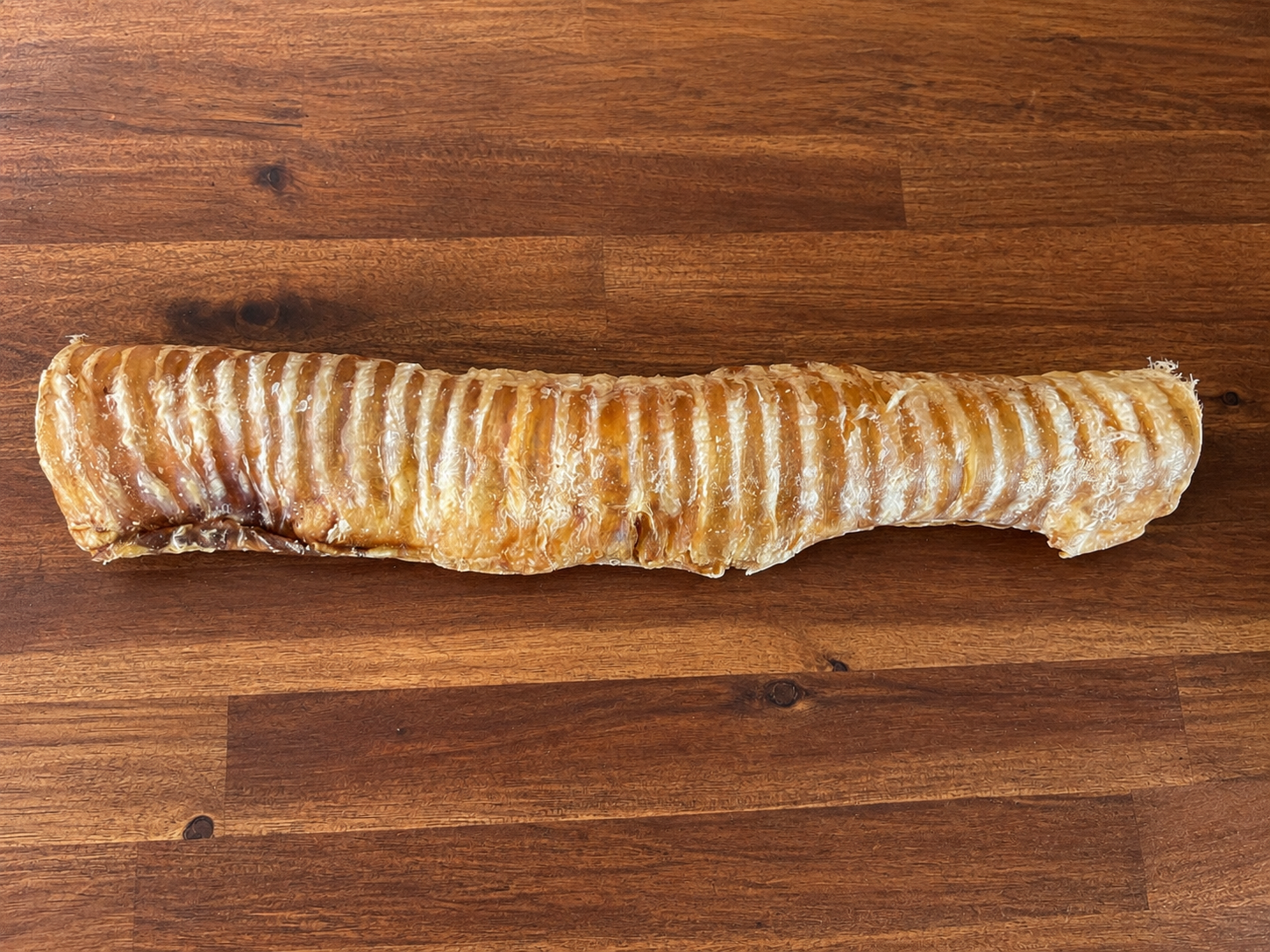 Beef Trachea.png