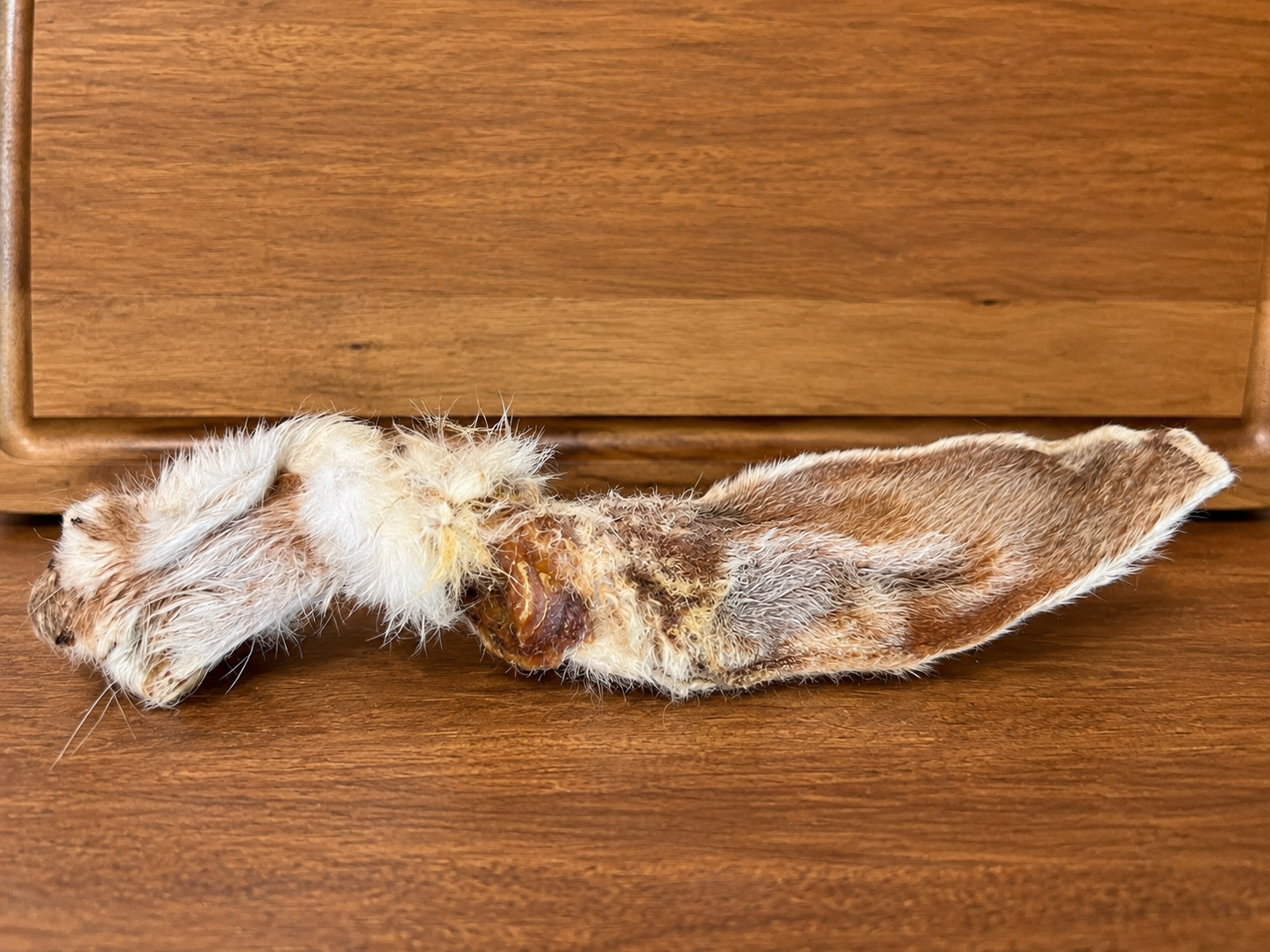 Hairy Rabbit Ear.png