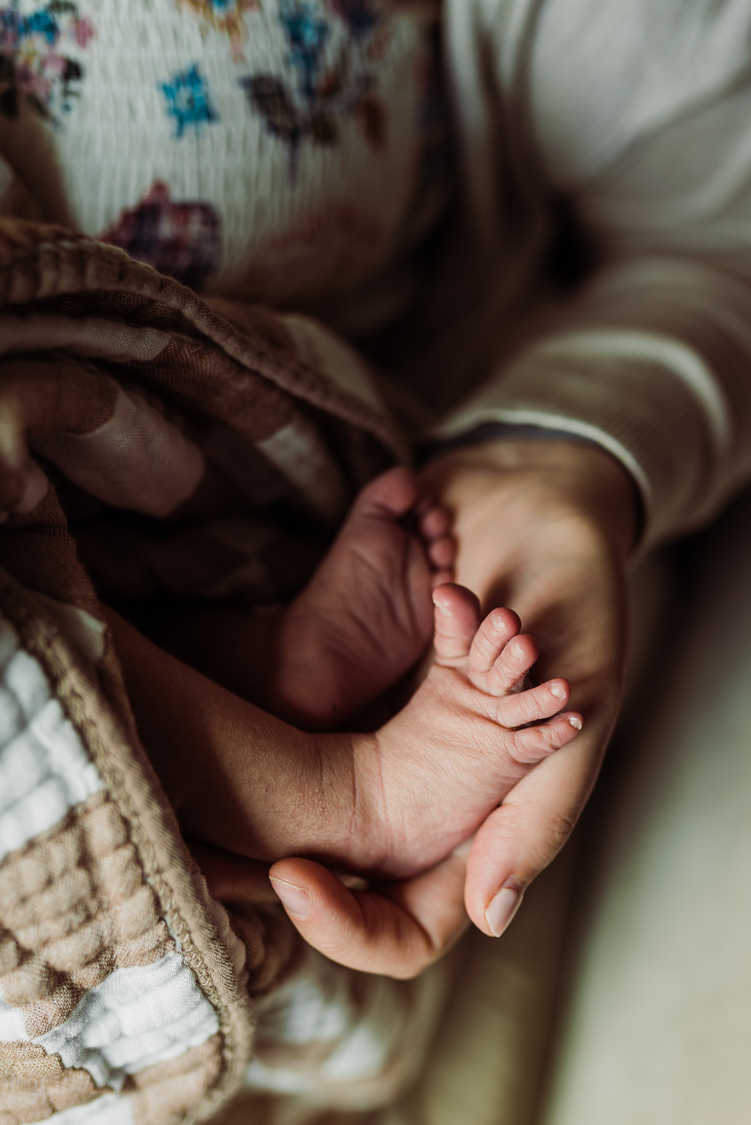 Close-up of an adult holding a newborn baby's hand.