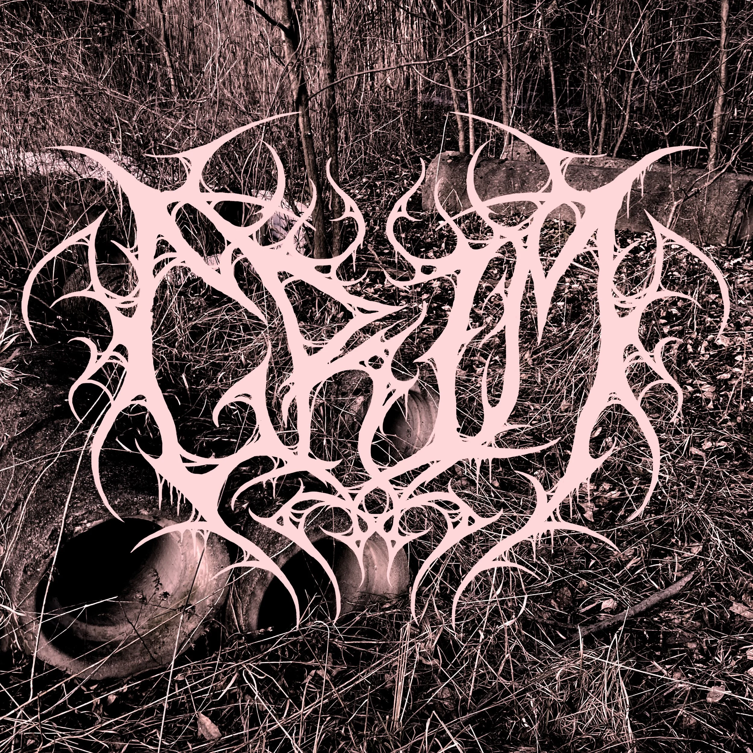 A dense thicket of dry branches and twigs with some rocks visible in the background, enhanced with a pink overlay. A heavy metal logo in the center of the image.