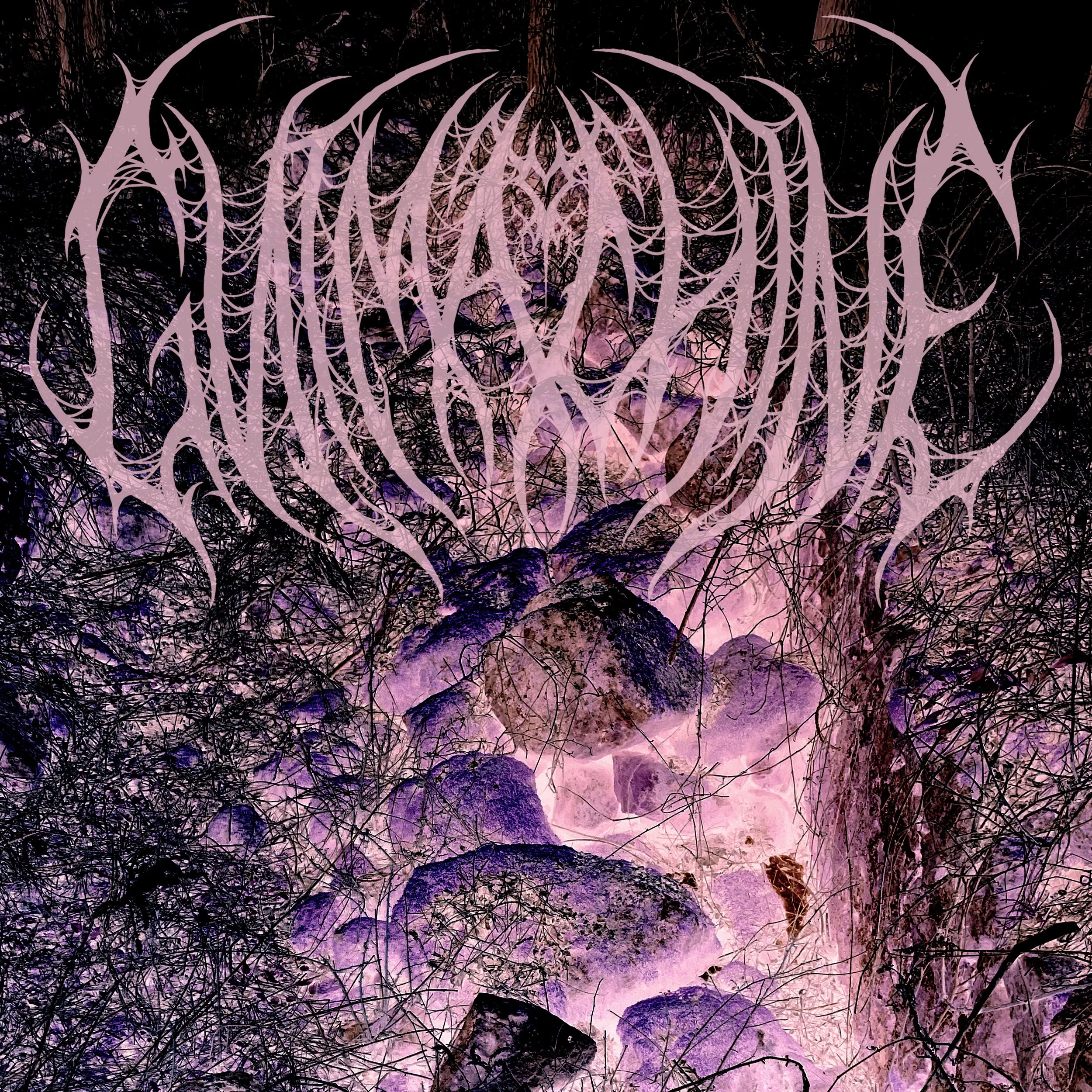 Colorful abstract digital art with dark branches overlaying a pink and purple background, featuring a heavy metal logo in the upper center. 