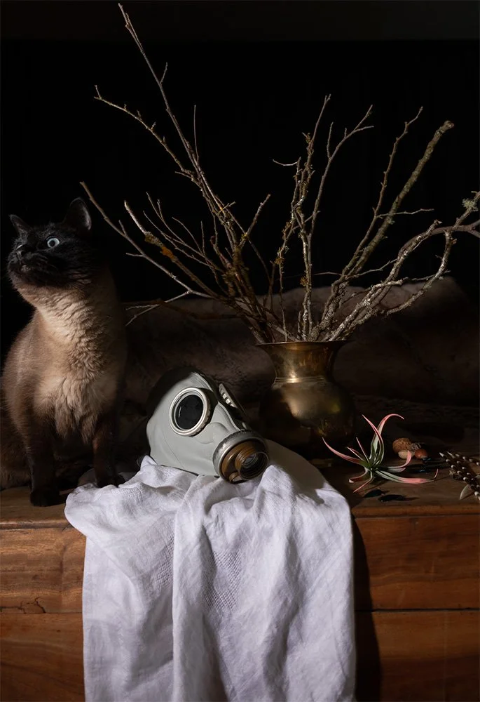 Victoria Roos_Borrowed Breath_2.jpg
