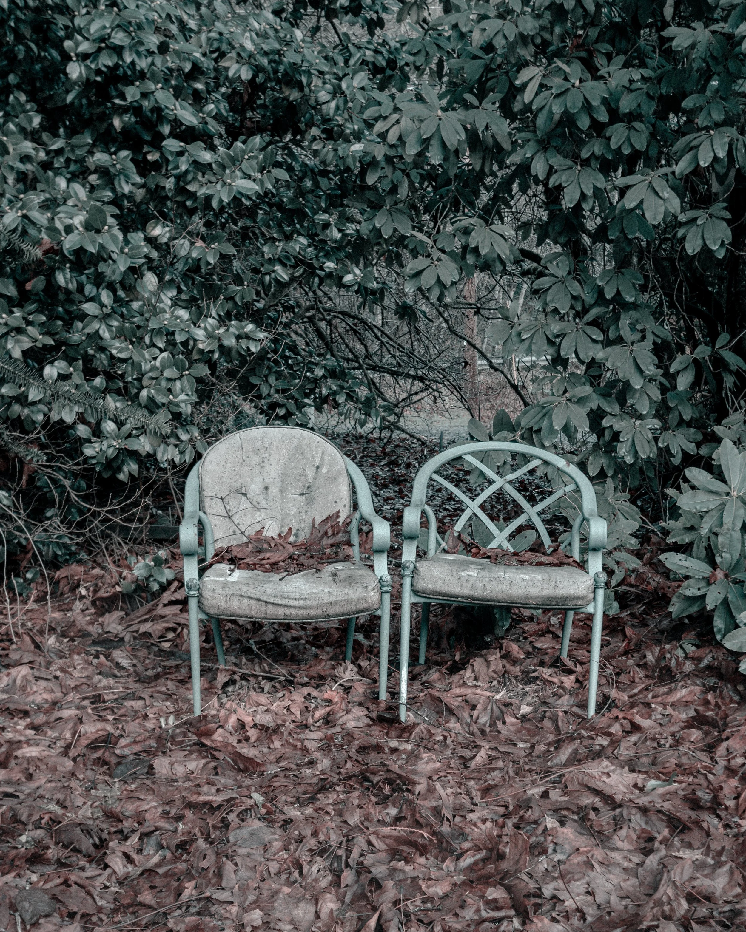 Chaird.jpg