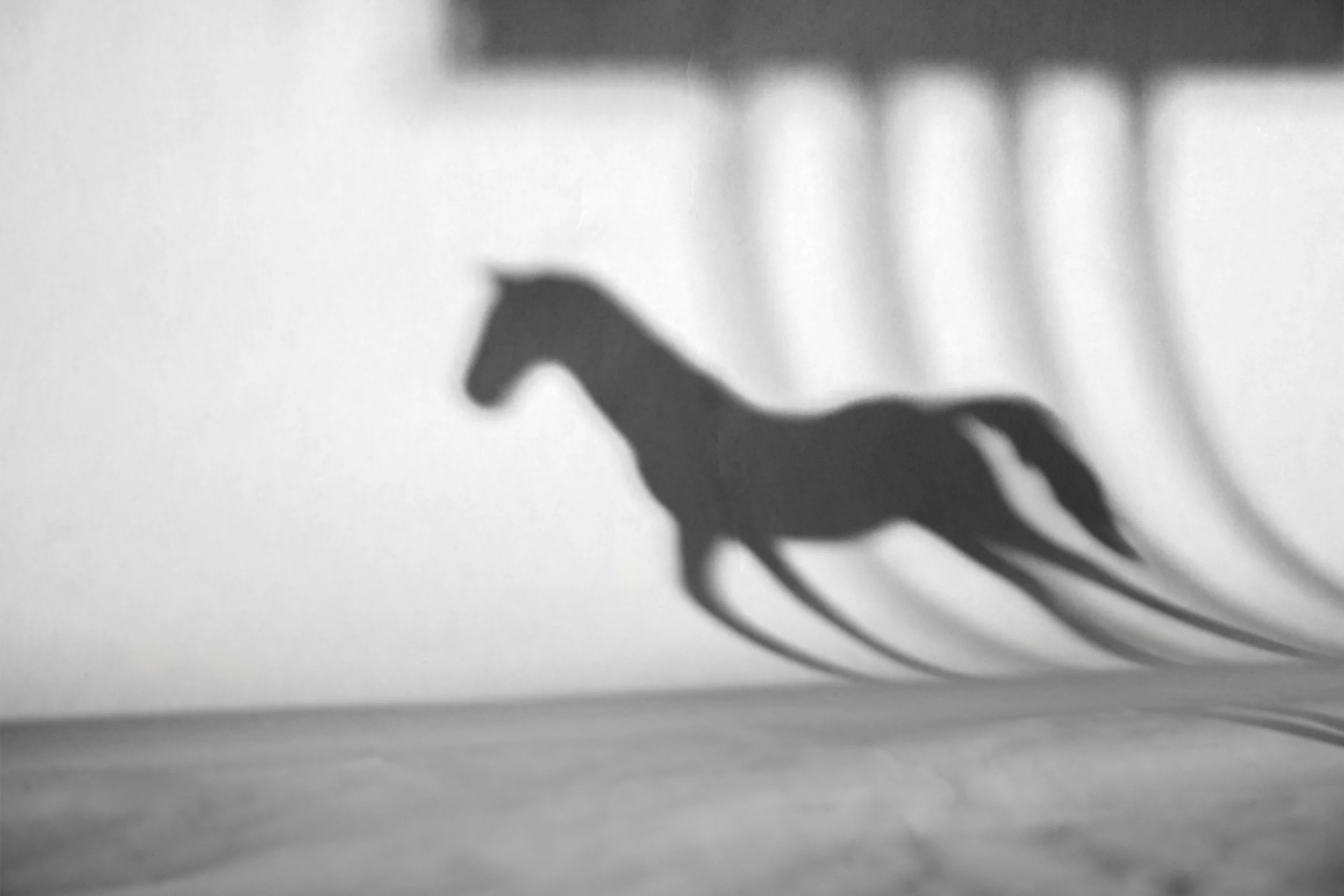 Roos_Victoria_Horse.jpg
