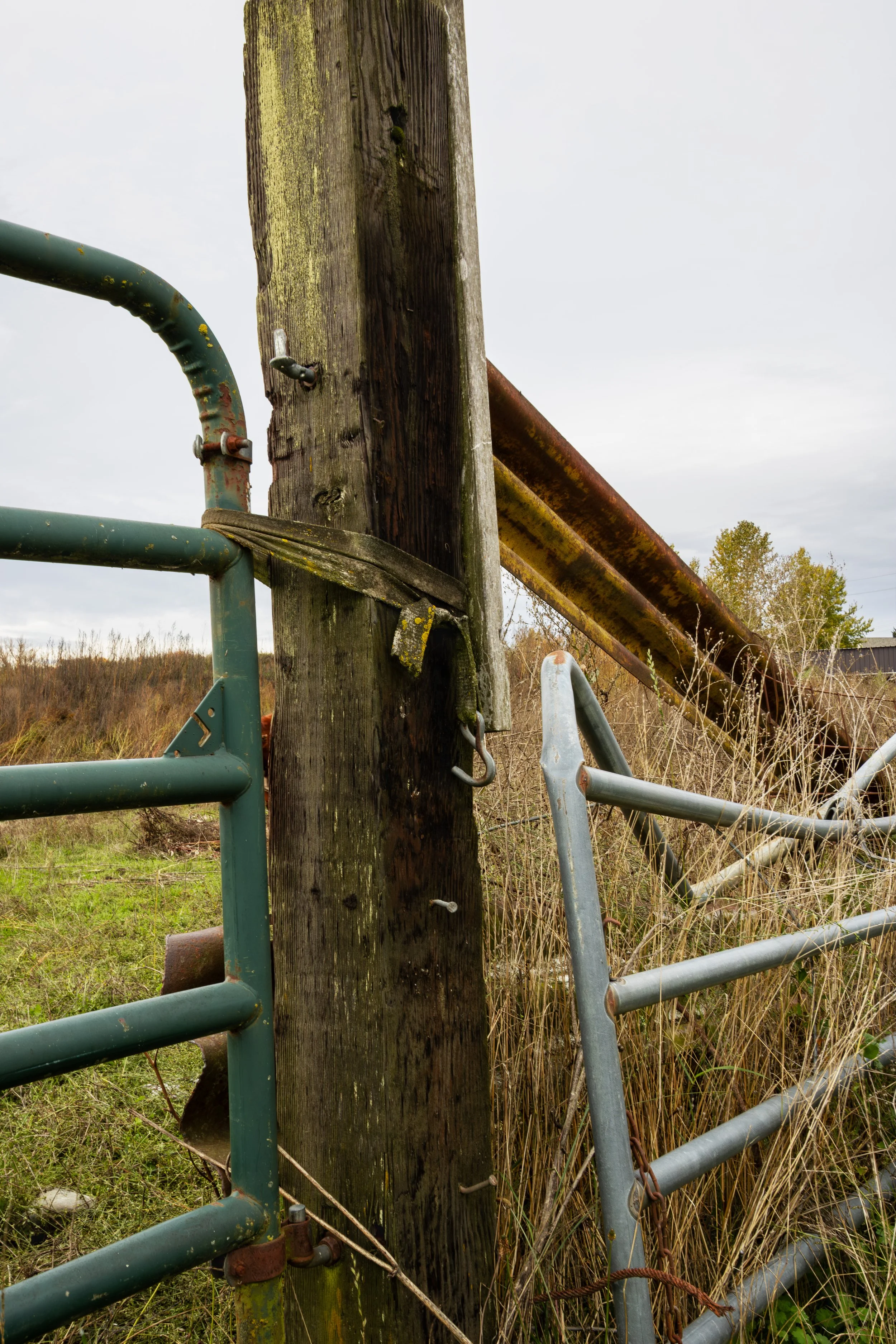 RustyFence.jpg