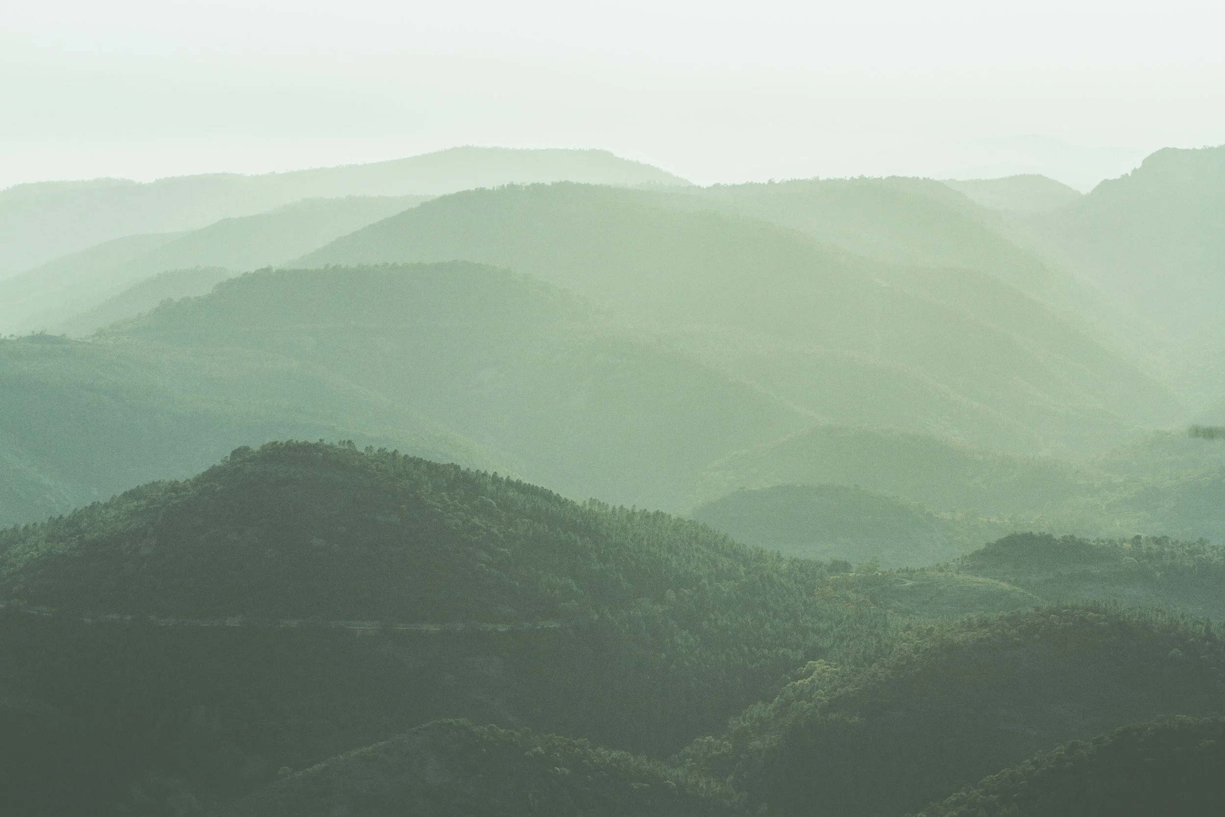 Peaceful view of rolling green mountains with a misty sky in the background.