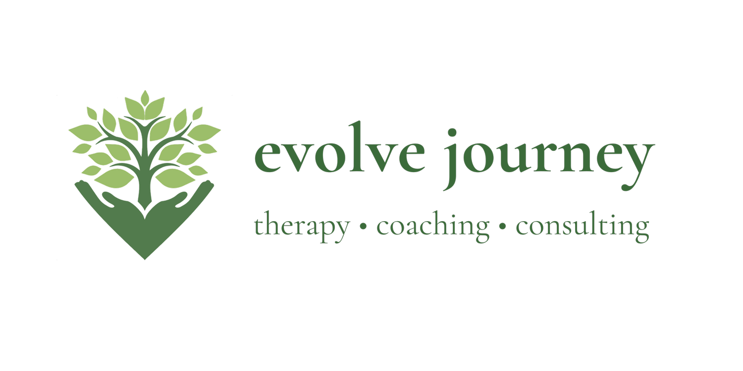 Evolve Journey 