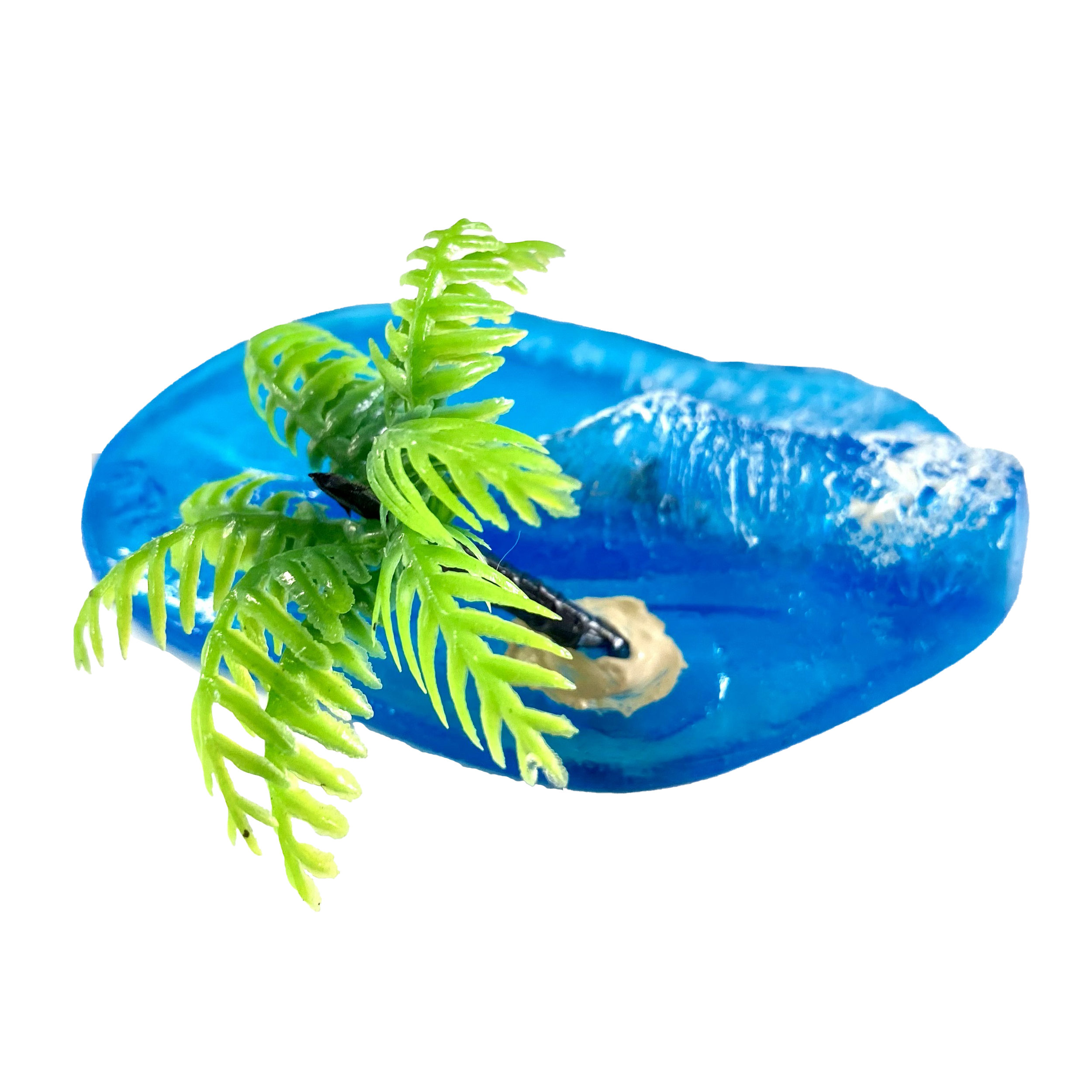 Glass Barrels by Perry Faanes - Palm Tree Left Back-1x1.png