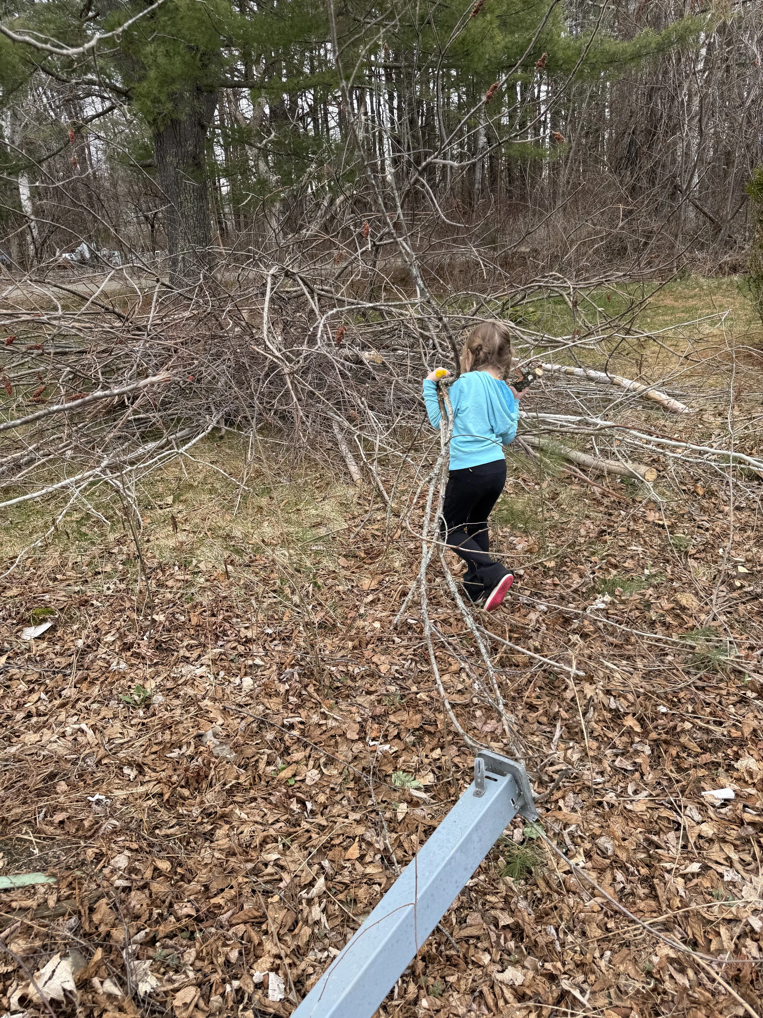 A young girl in a blue hoodie and black pants is assembling or repairing a metal structure outdoors on a wooded area with fallen leaves and skinny trees. There is a metal frame on the ground near her.