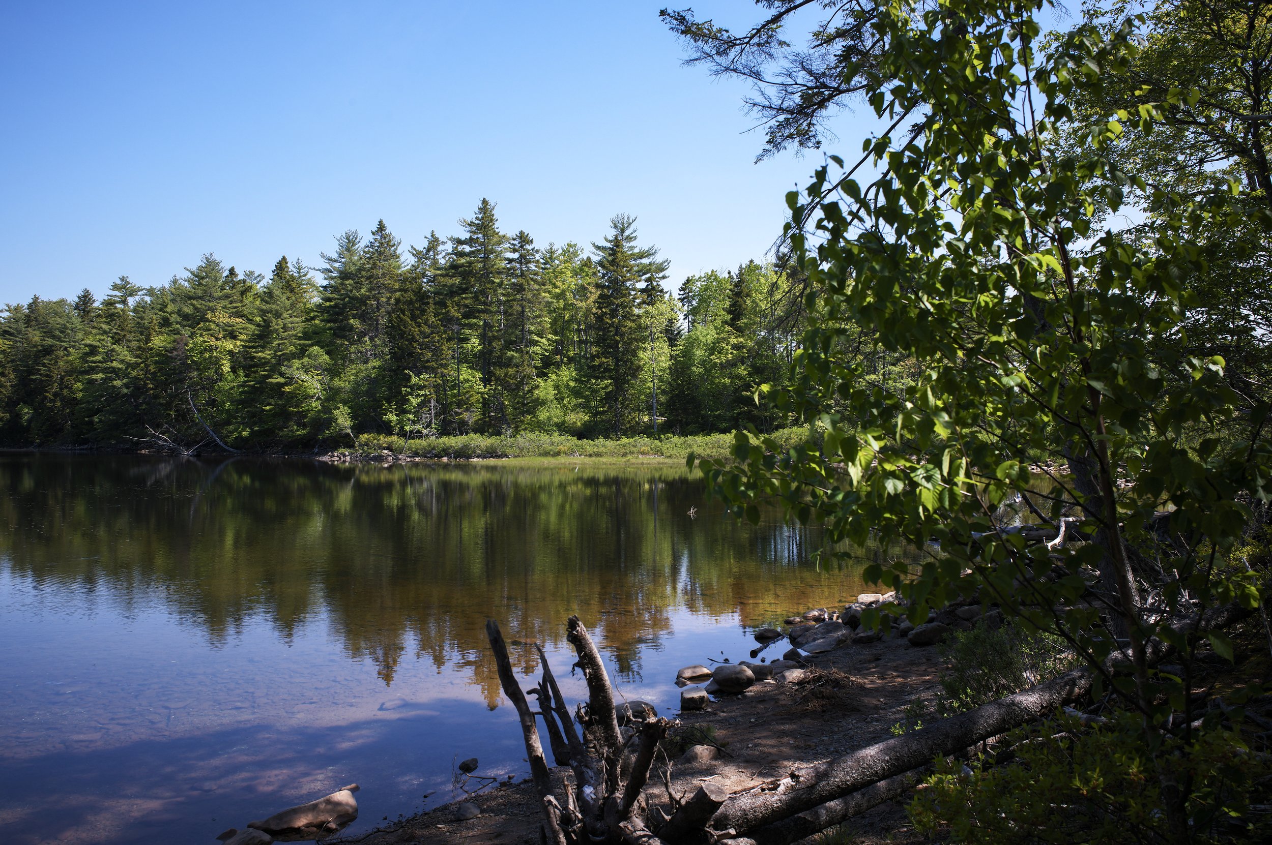First Lake.jpg