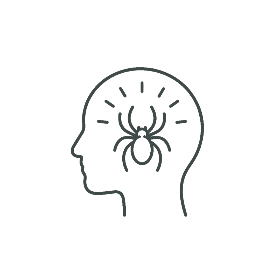 Outline of a human head with a spider inside the brain area, radiating lines around the head.