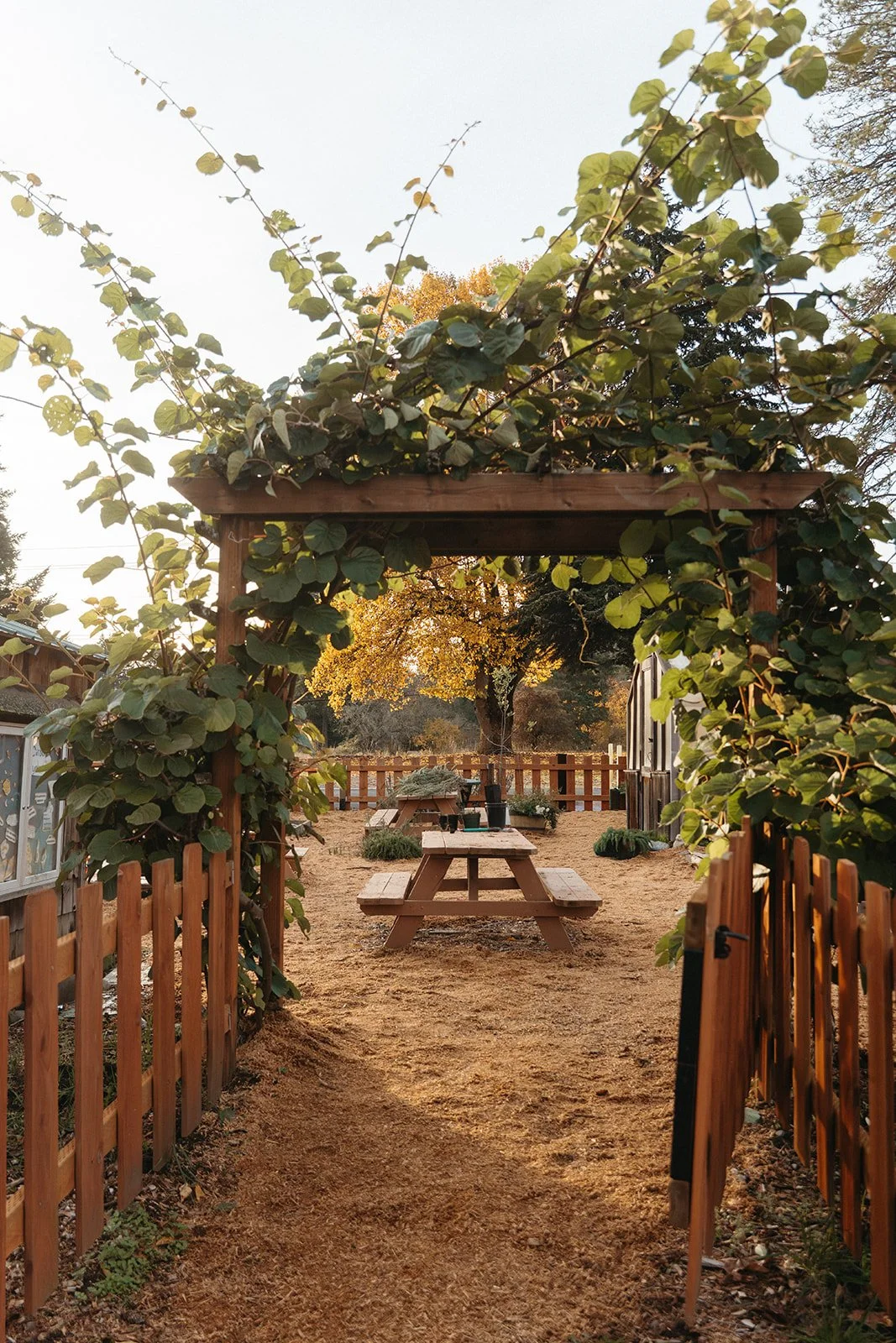 View through a wooden gate to a garden with a picnic table, potted plants, and trees in the background during autumn.