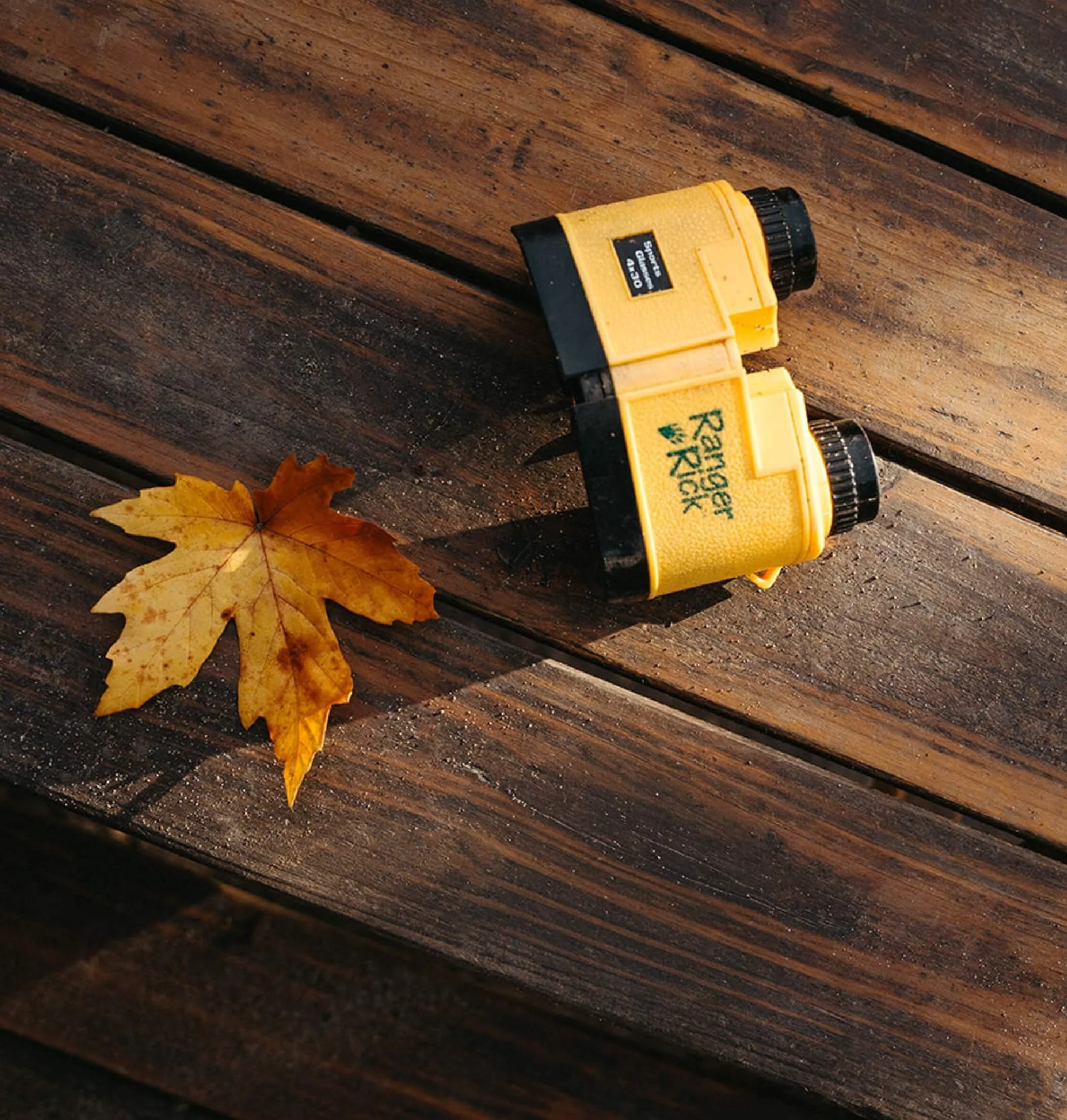 Yellow and black battery pack resting on weathered wooden outdoor surface with yellow autumn leaves nearby.