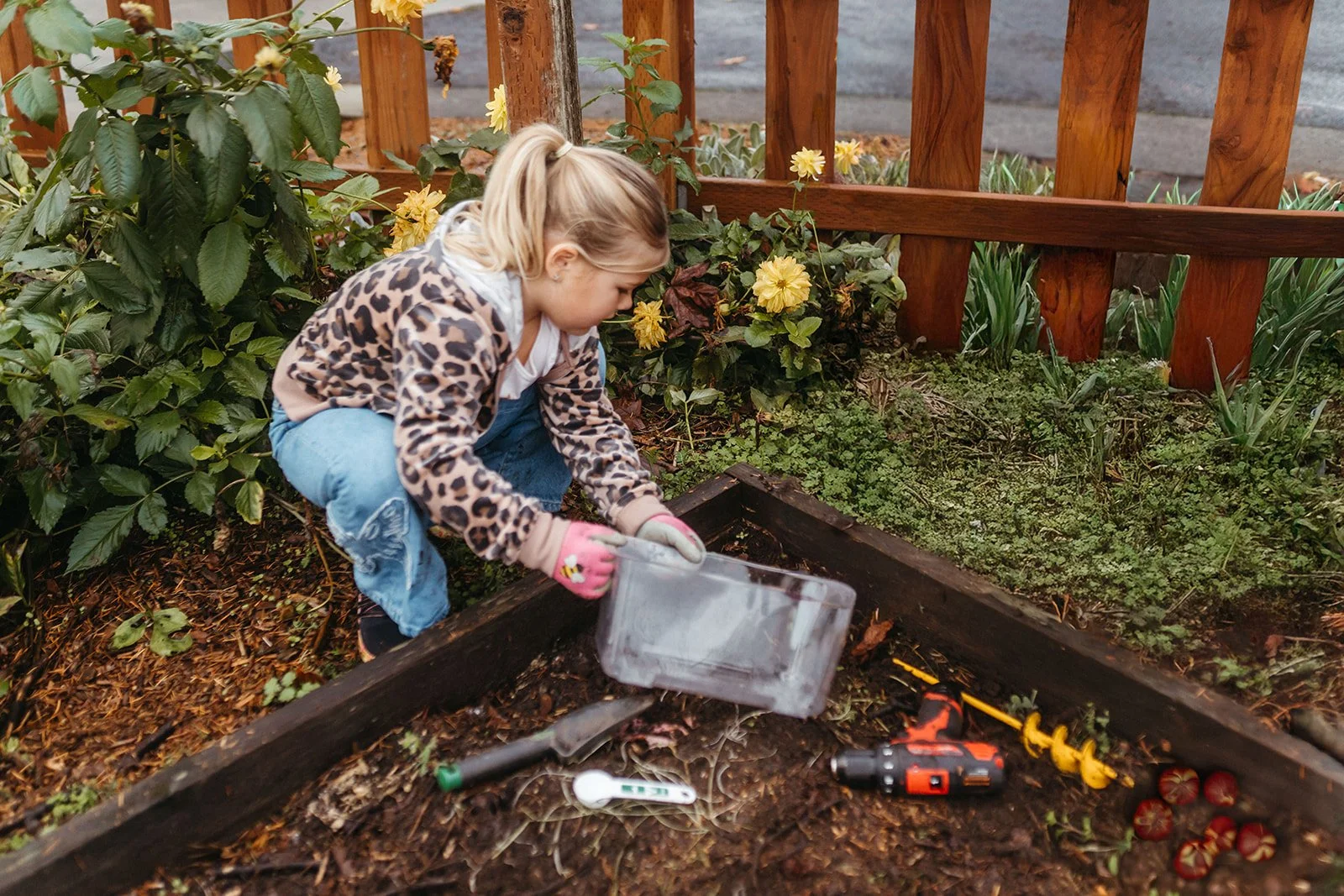 A young girl with blonde hair, wearing a leopard print jacket and pink gloves, is gardening in a flower bed with yellow flowers and green foliage. She is using gardening tools, including a small trowel, a screwdriver, and a bulb planter. The flower bed is bordered by a wooden frame and a wooden fence is visible in the background.
