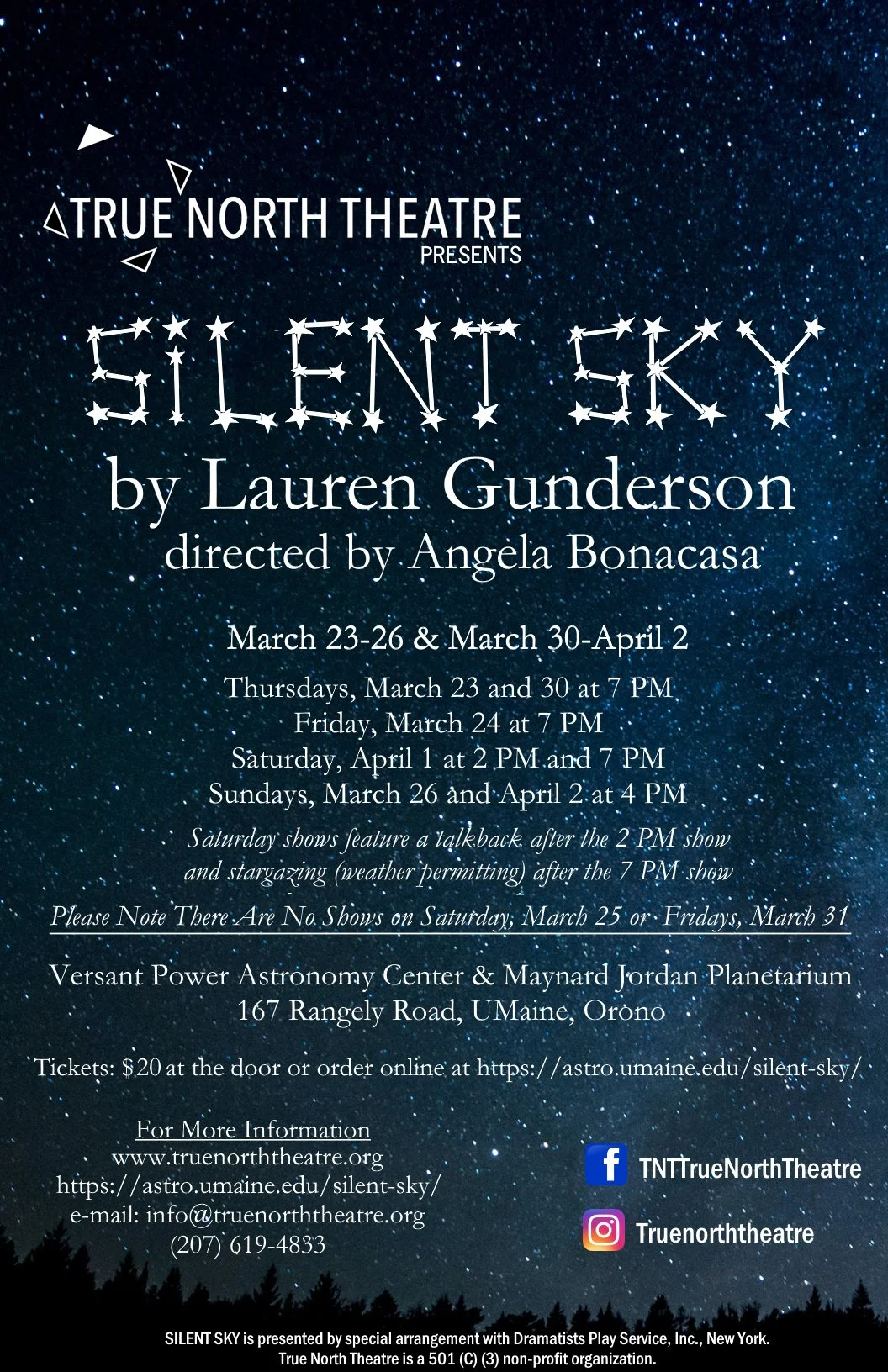 Silent Sky_poster.jpg