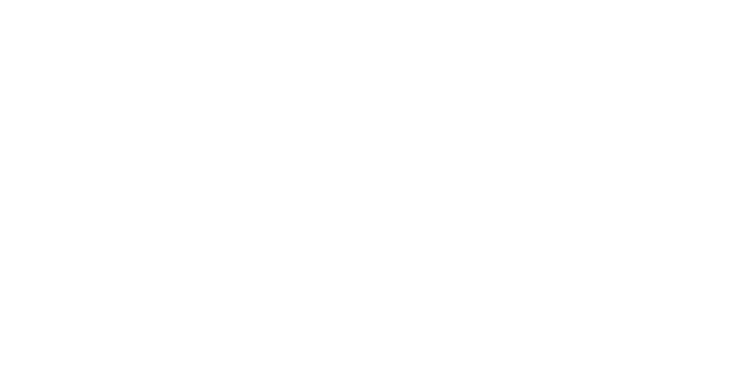 Mario G Racco