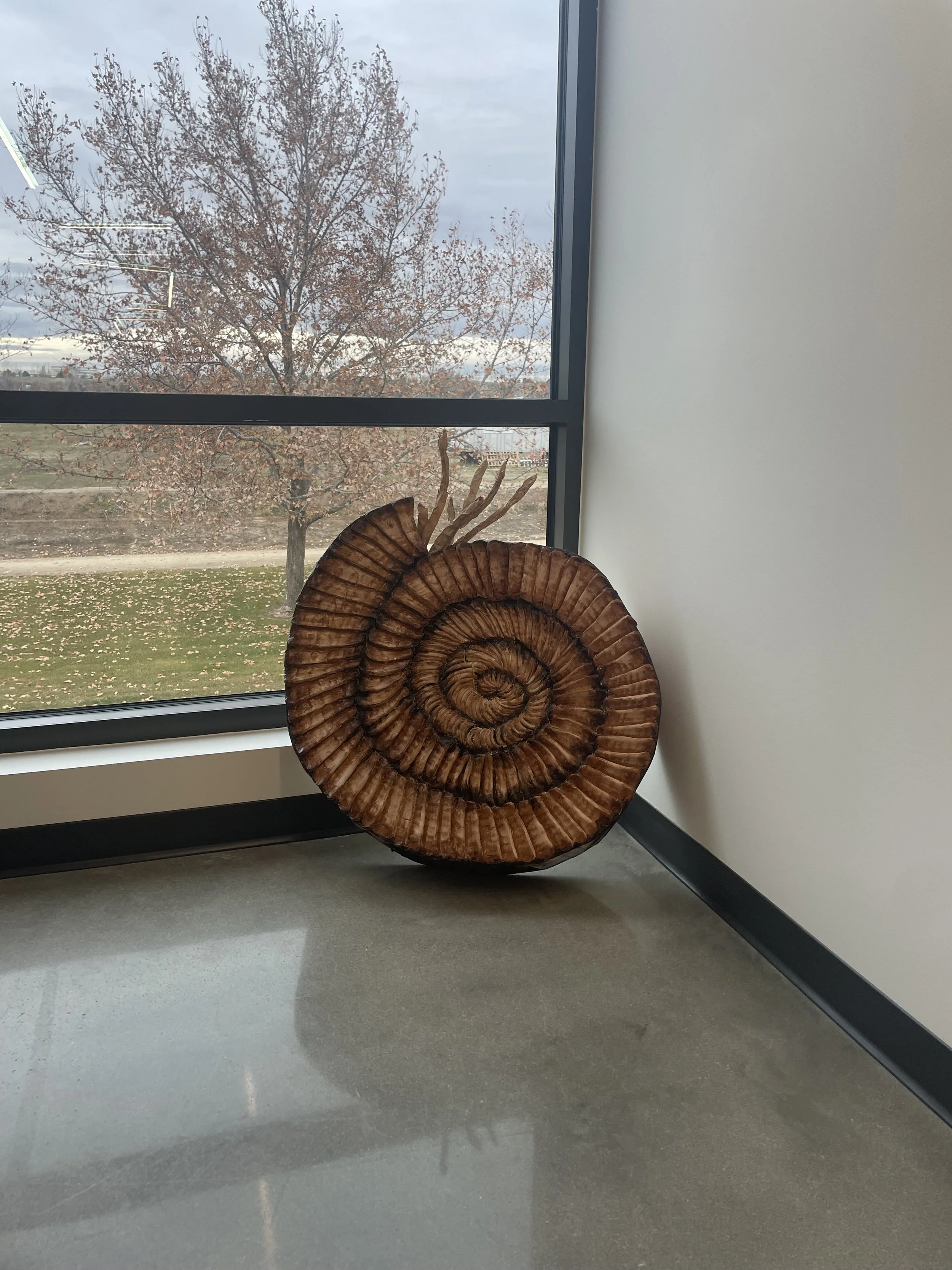 "Ammonite" (2025)