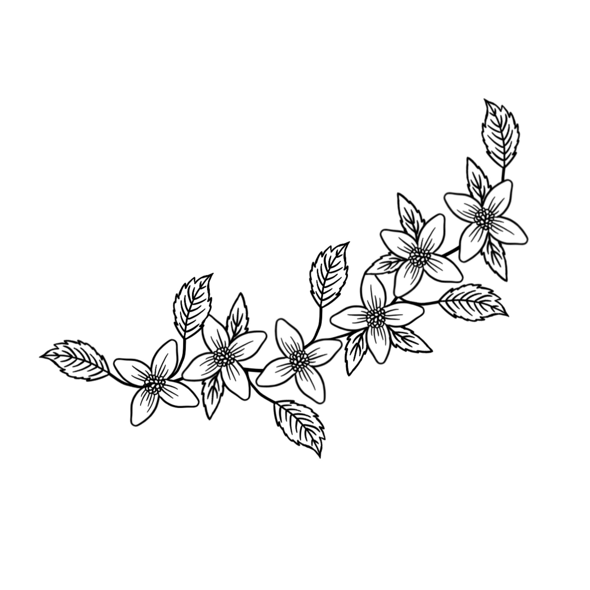 Untitled design.png
