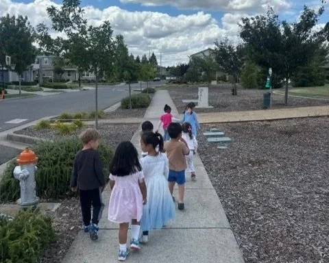 Nature School Adventures: Learning Beyond the Classroom
