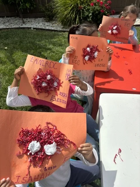 Little Scientists: Exploring Birds, Nests &amp; New Life