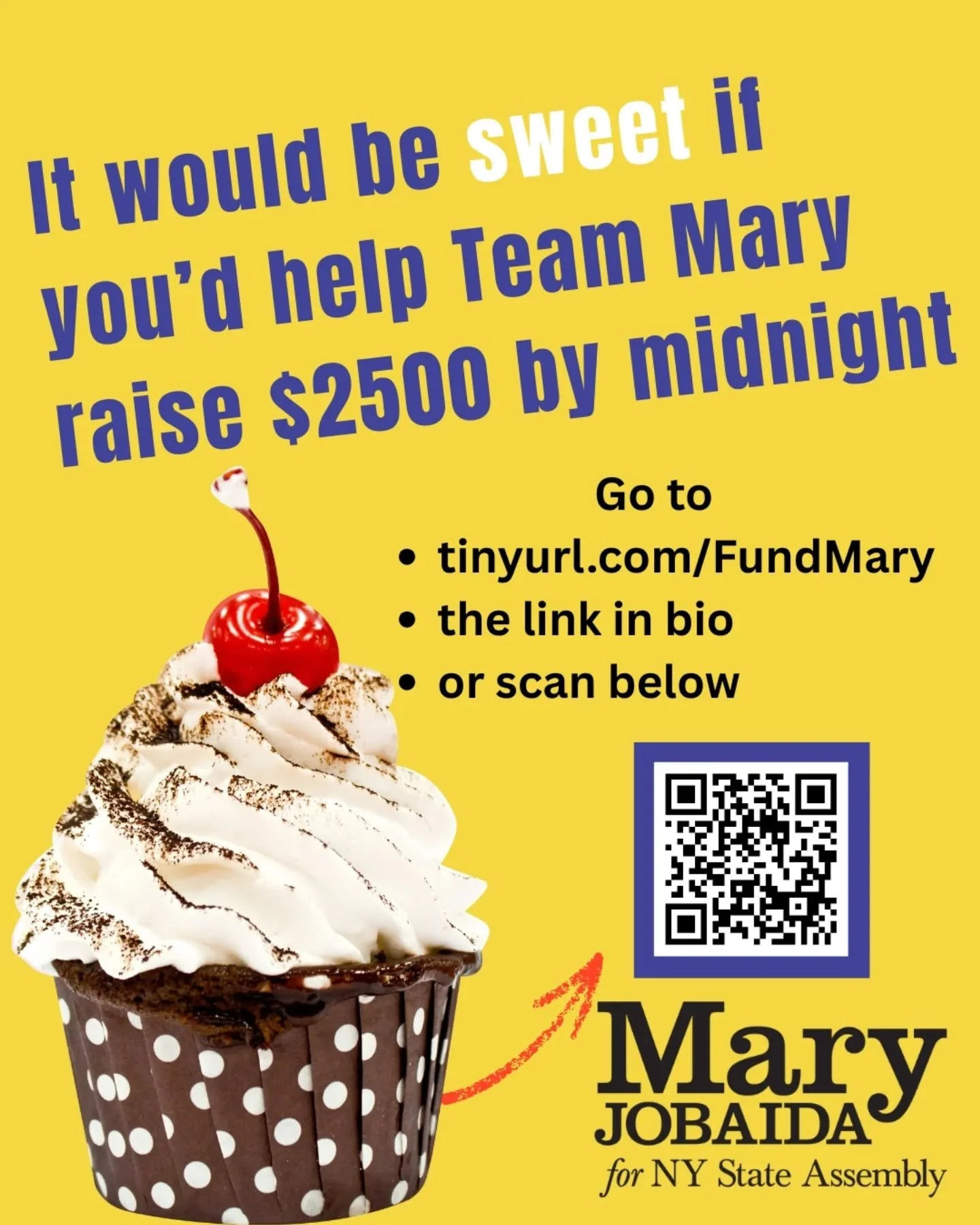The Mary Jobaida campaign has another fundraising deadline TONIGHT. Funds raised before midnight (Monday night) could be matched up to 12 times!!! Consider it a birthday present to Mary to keep the campaign promotional and outreach running strong!

#