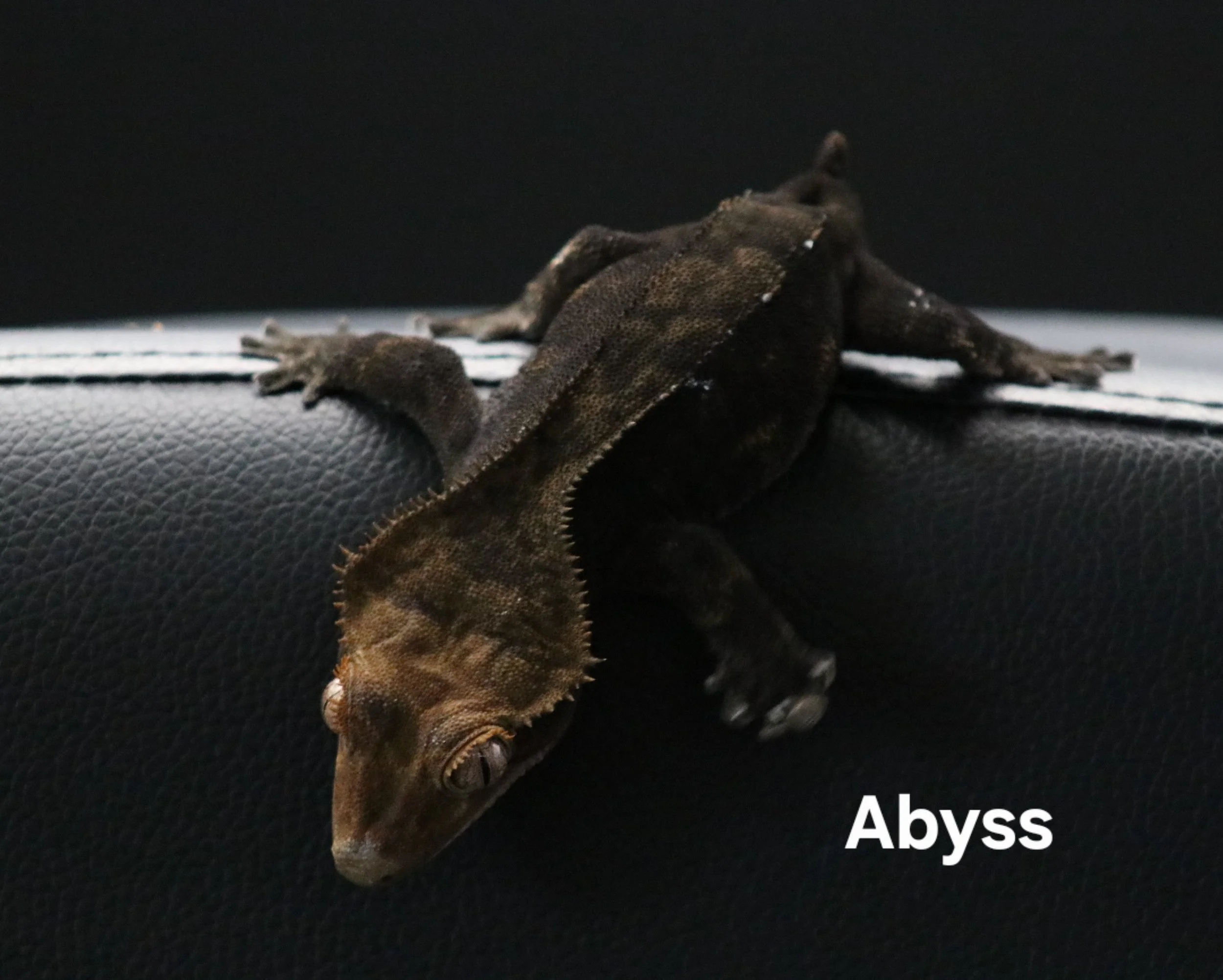 Abyss.jpg
