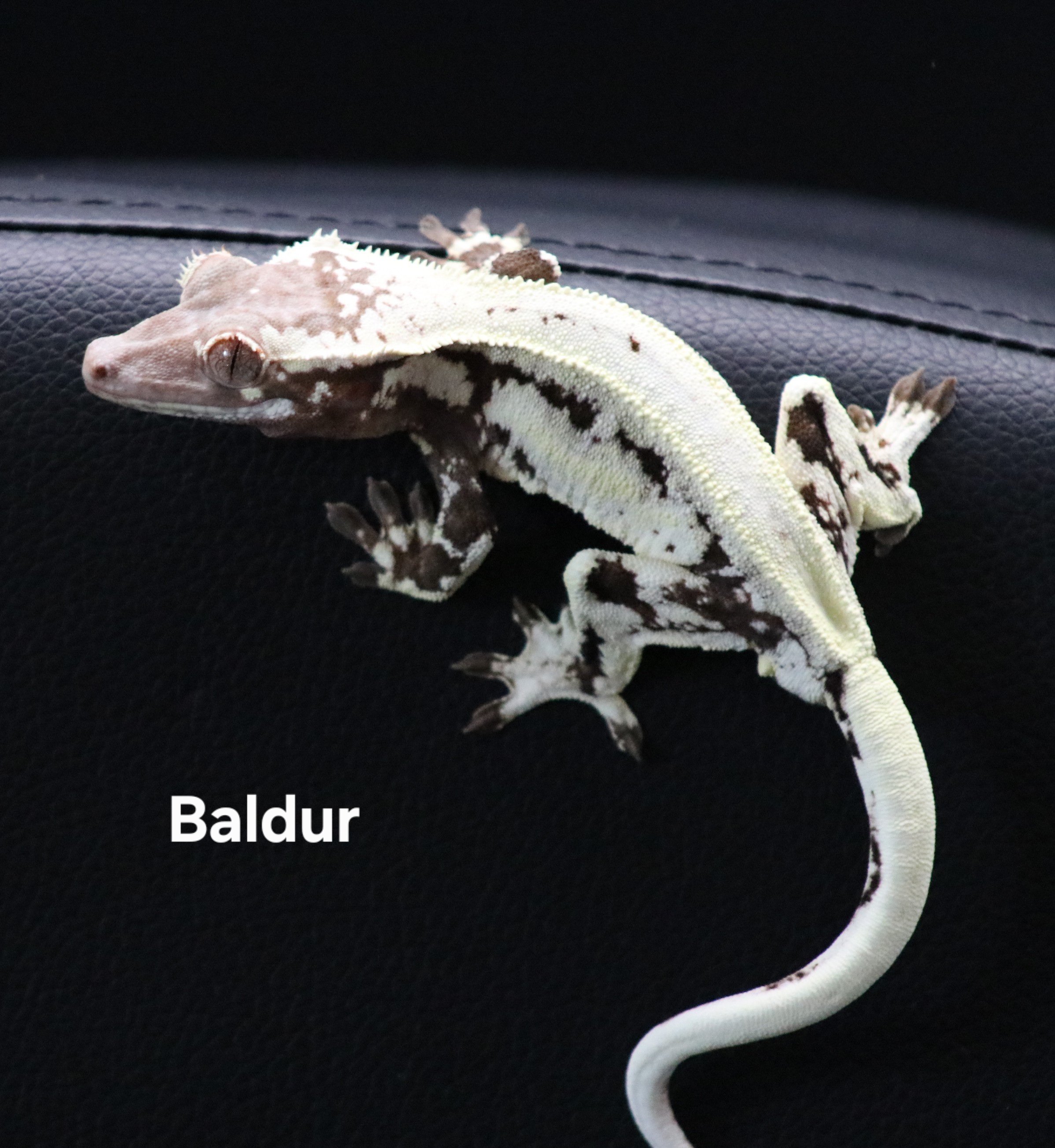 Baldur.jpg