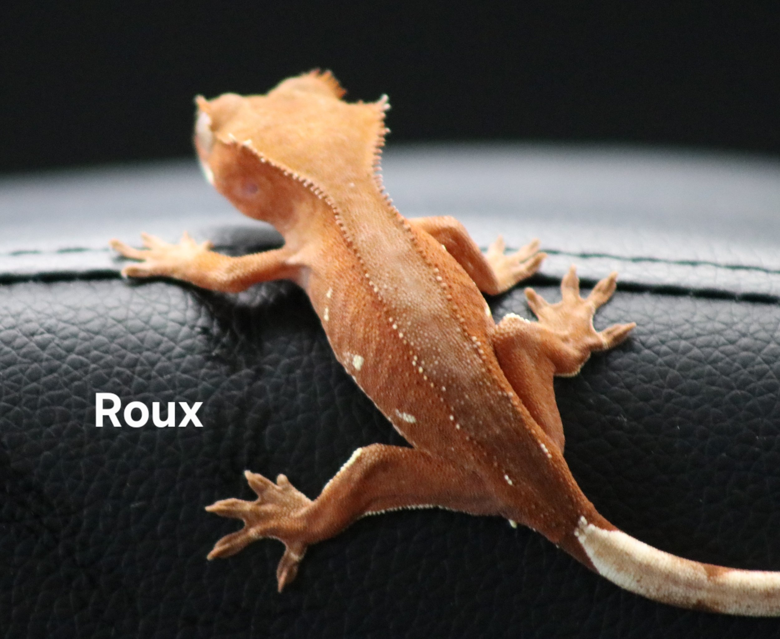 Roux.jpg