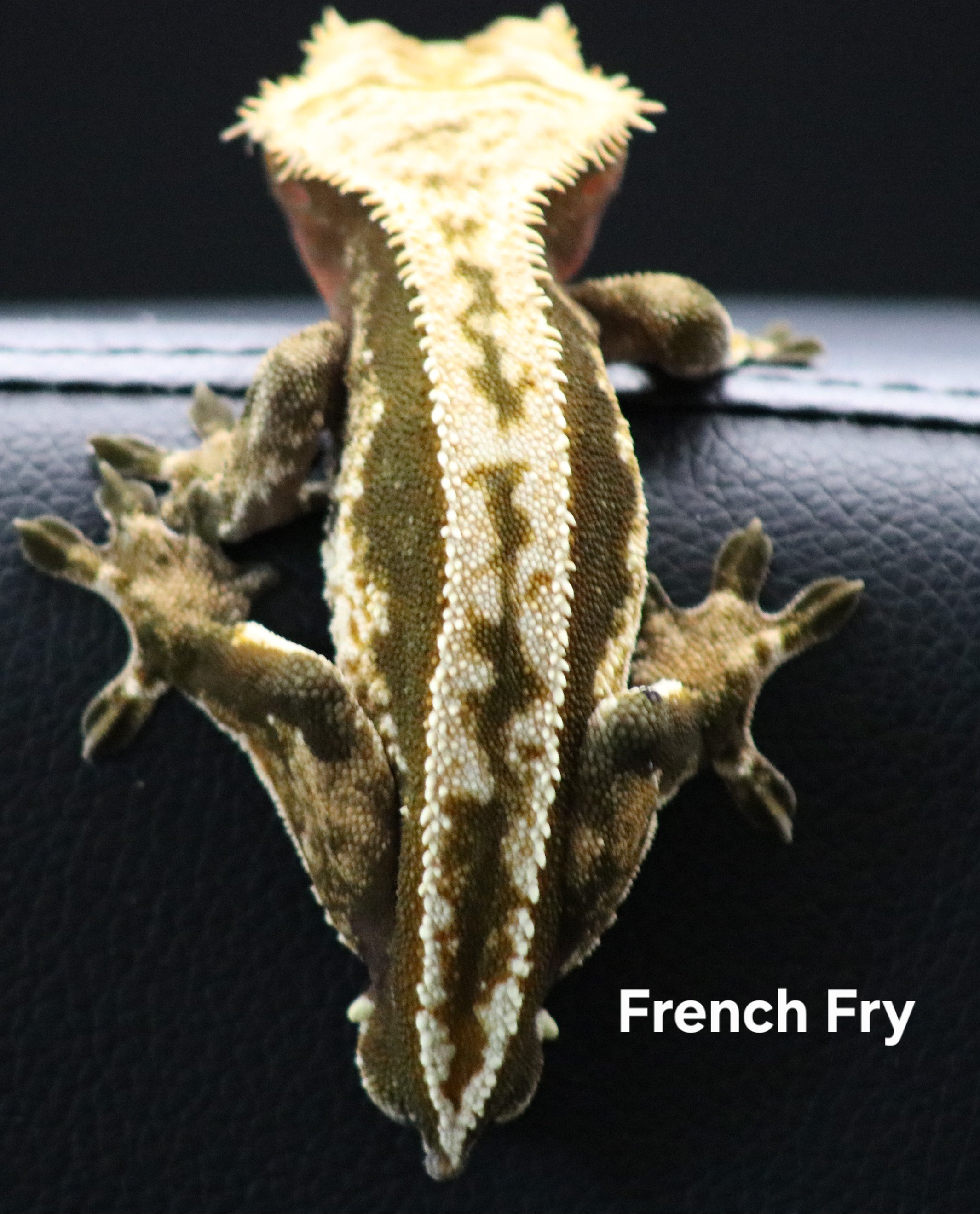 French Fry .jpg