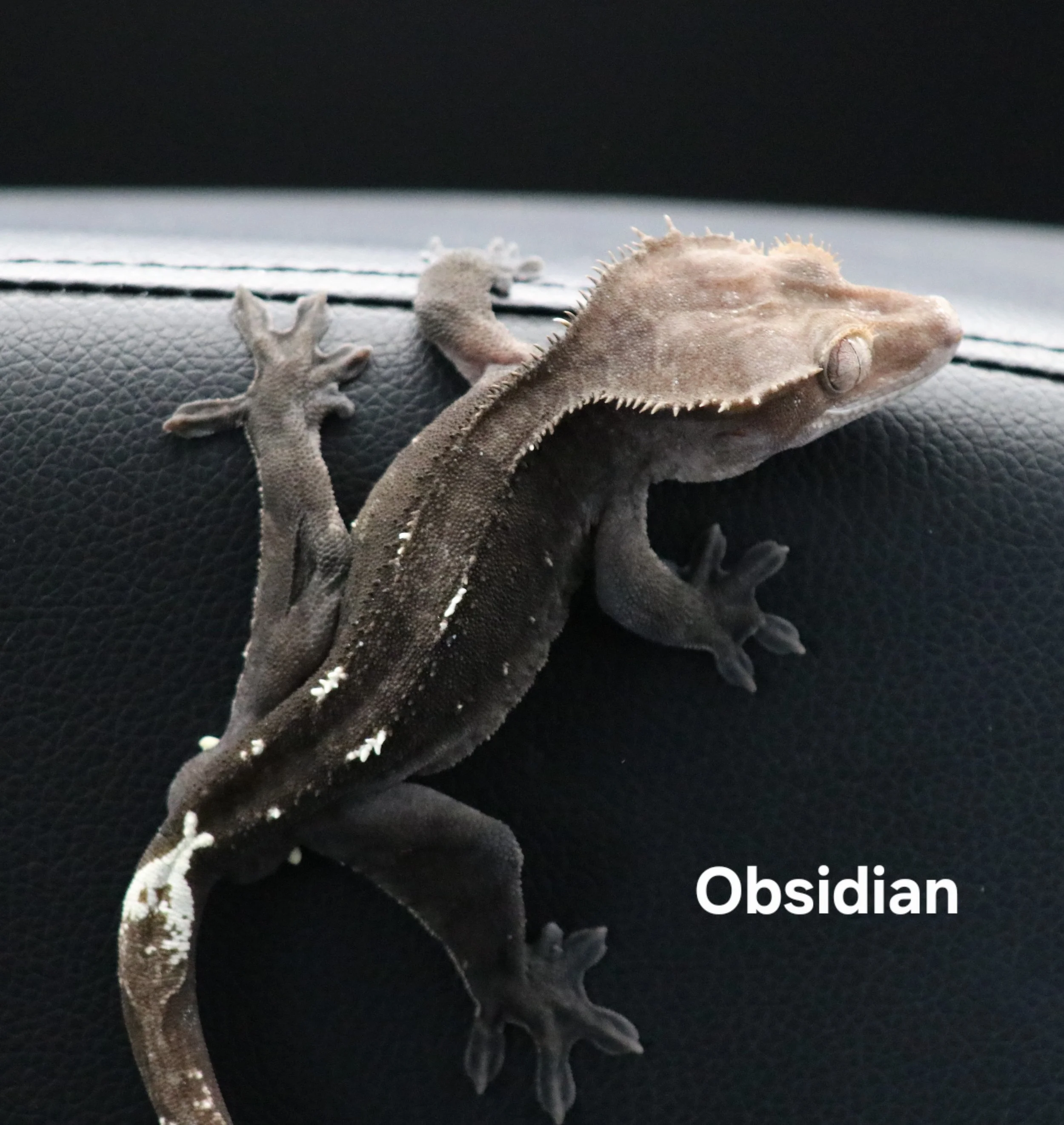 Obsidian.JPG